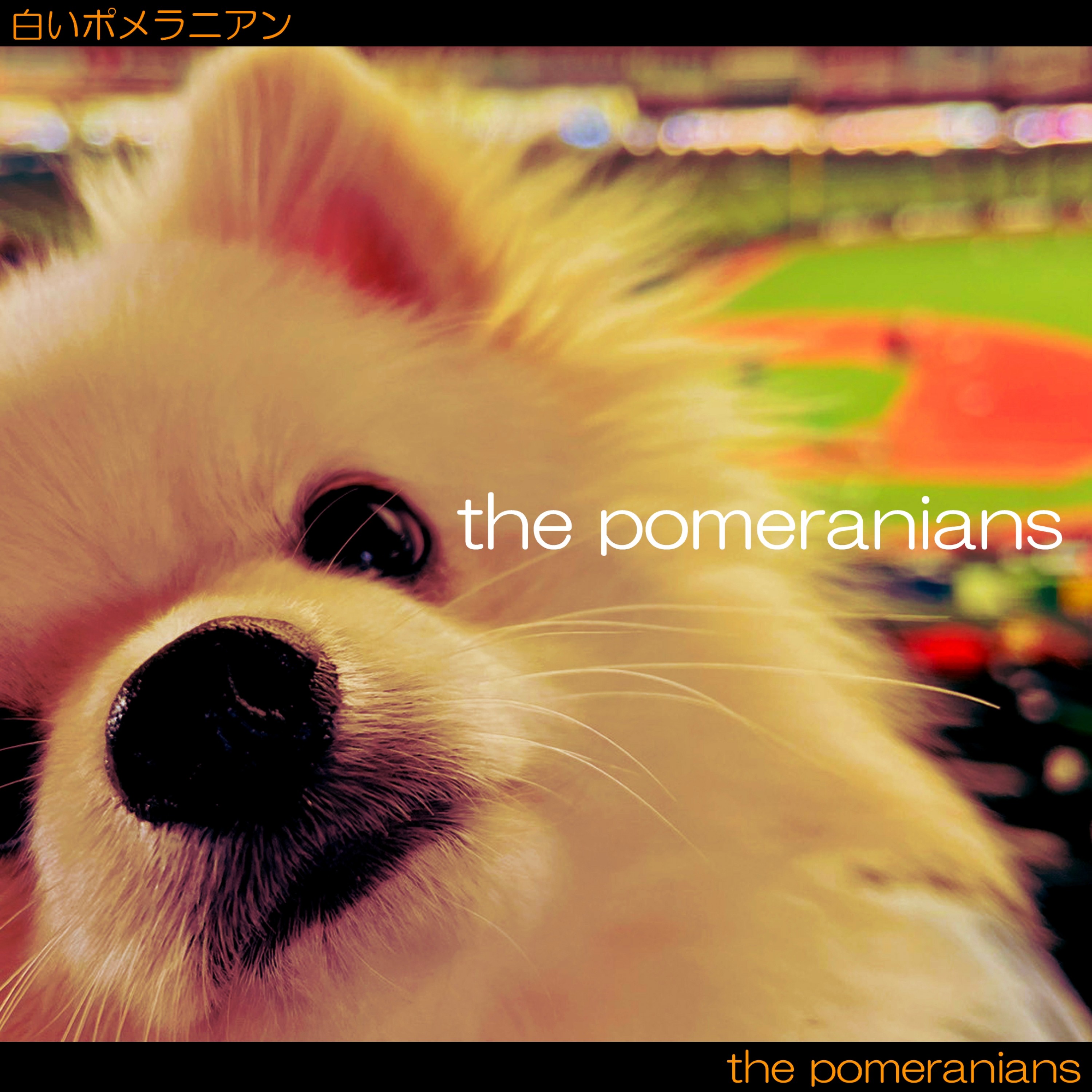 ジャケット写真