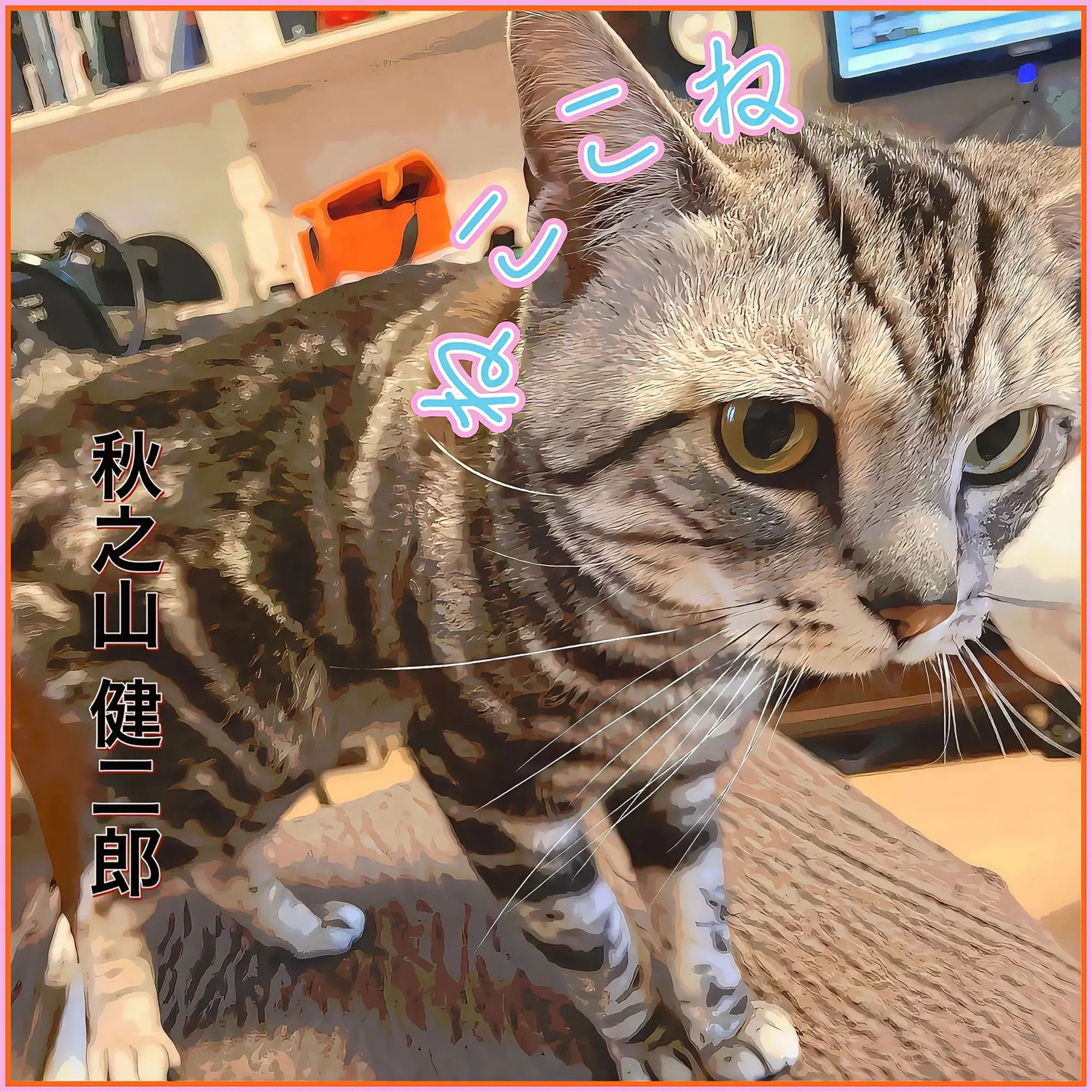 ジャケット写真