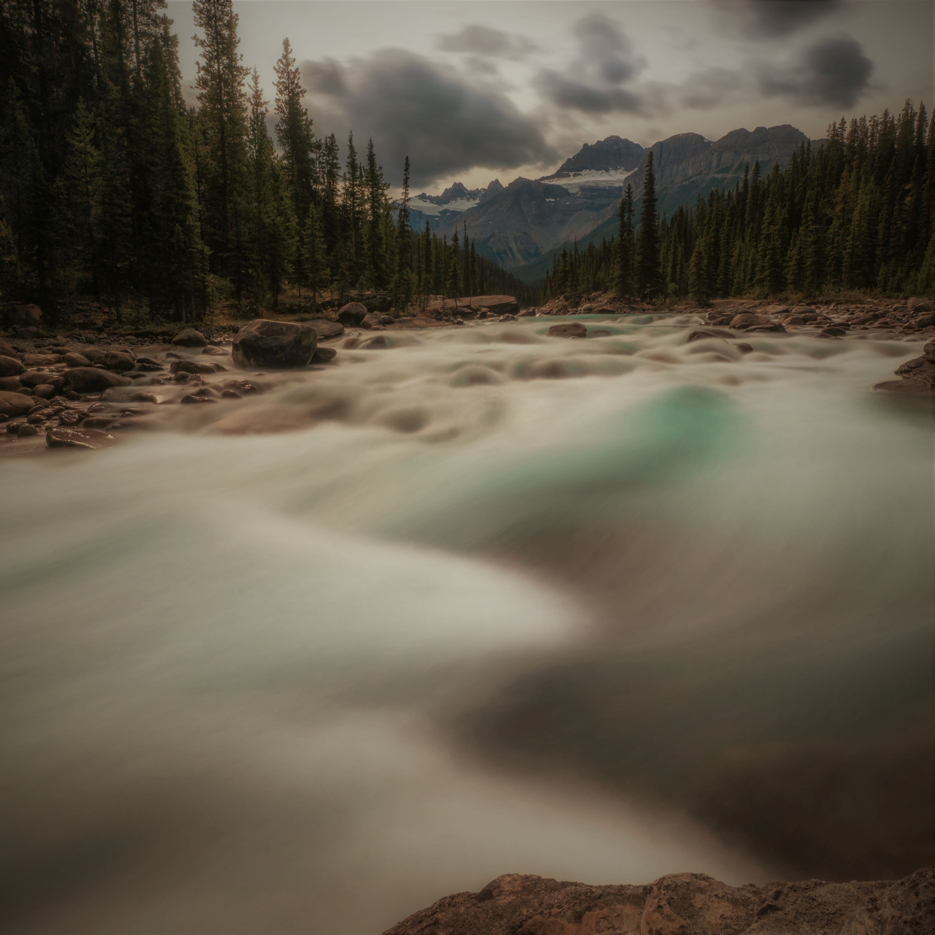 ジャケット写真