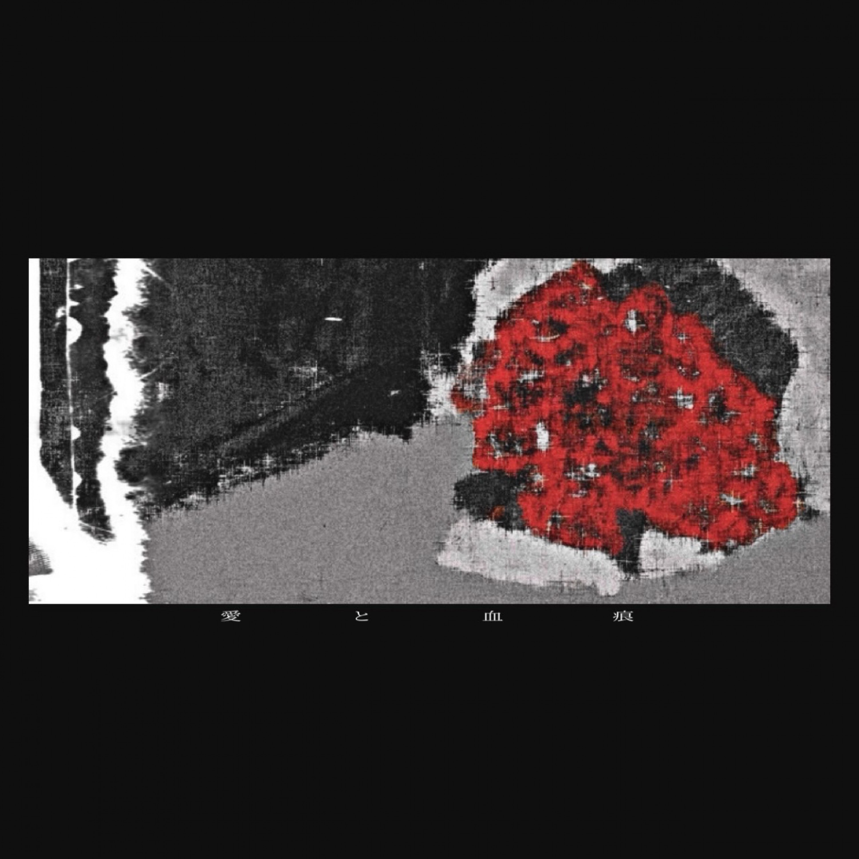 ジャケット写真