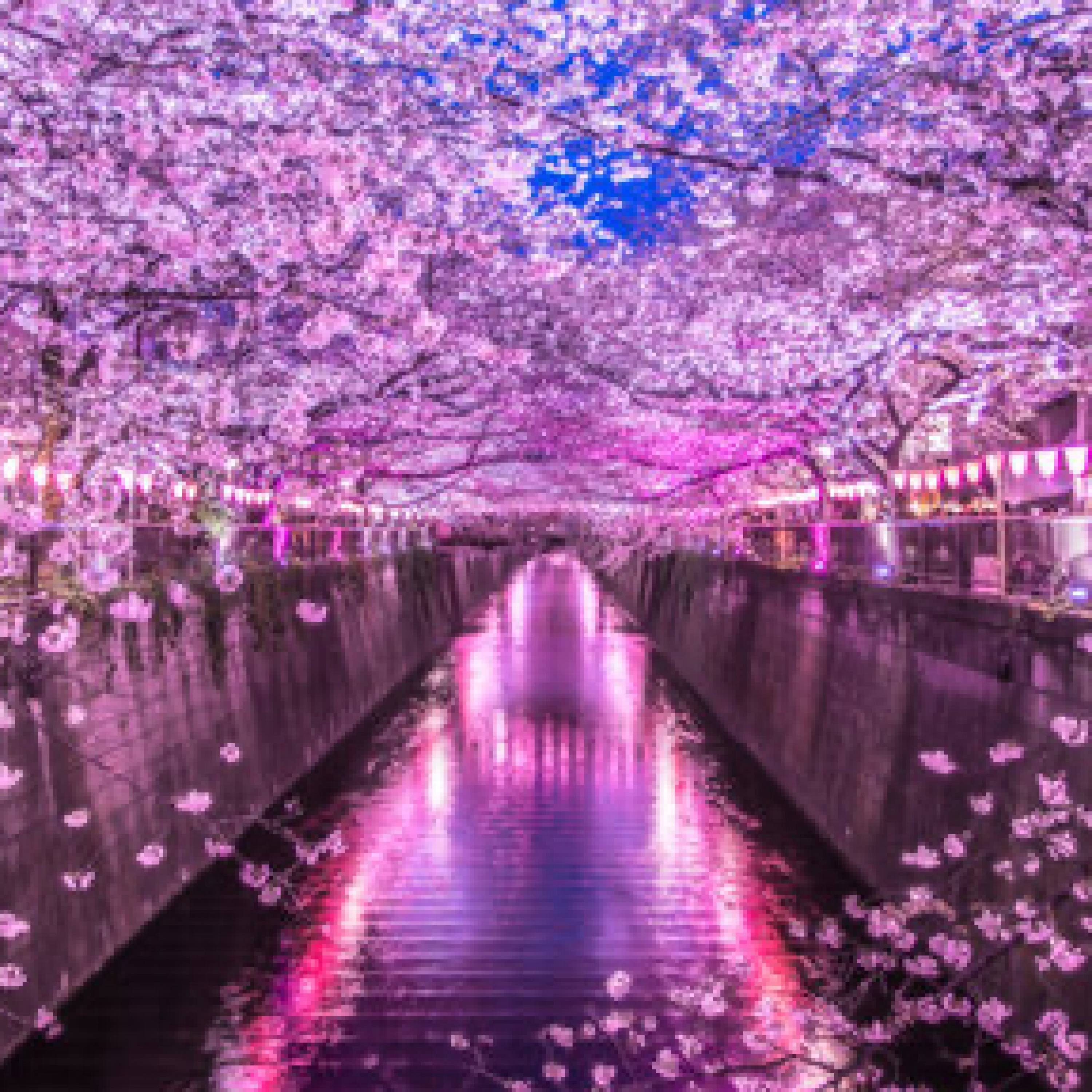 ジャケット写真