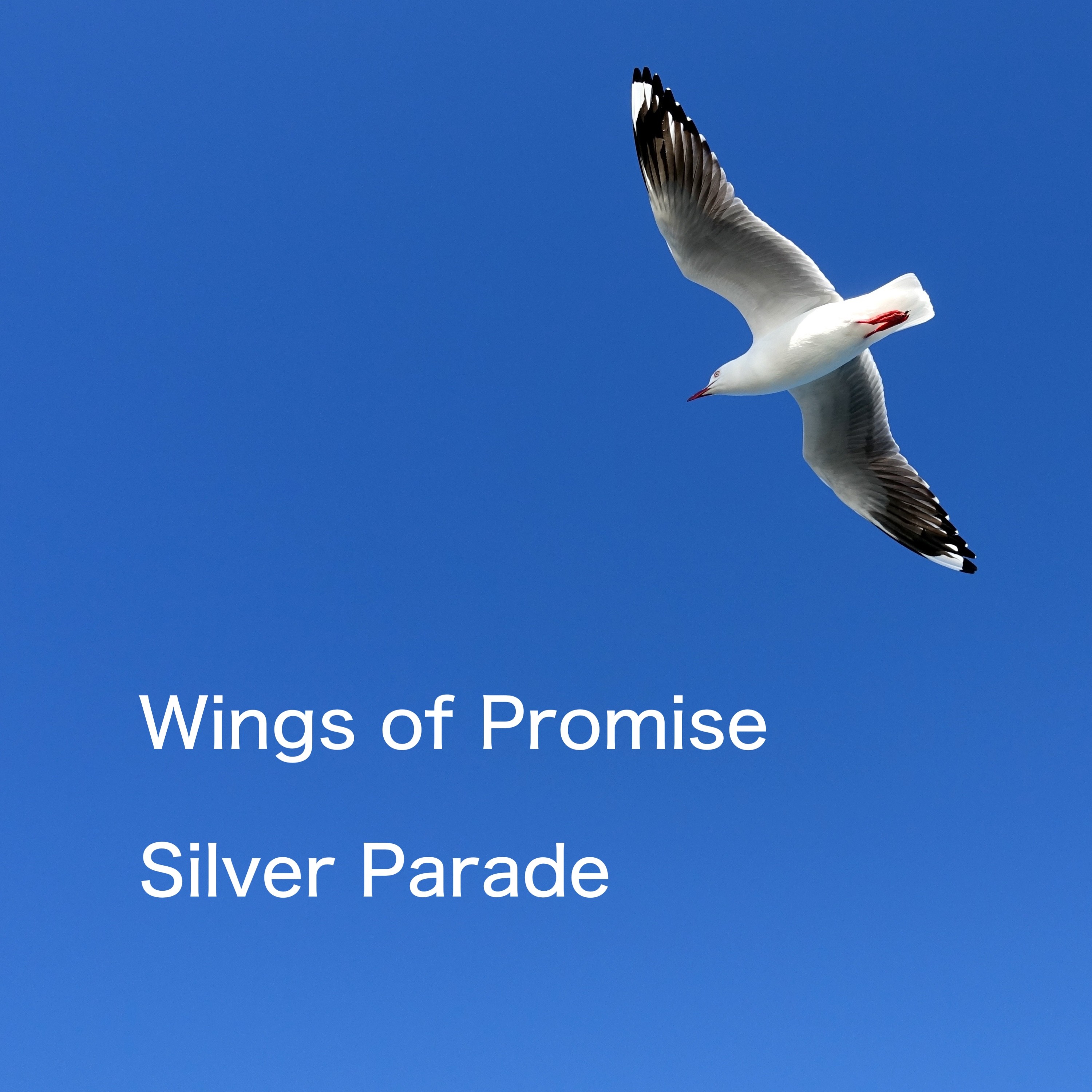 ジャケット写真