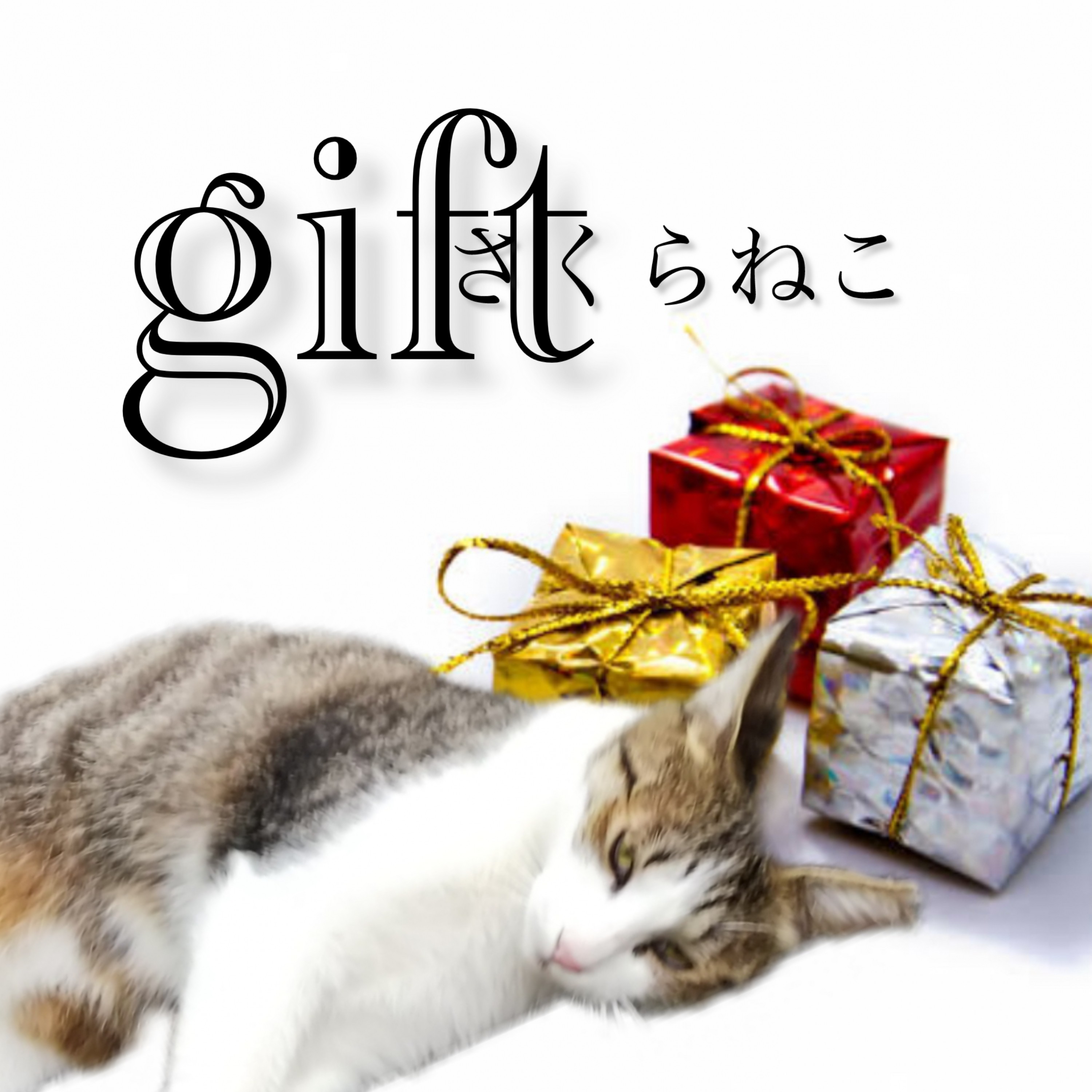 ジャケット写真