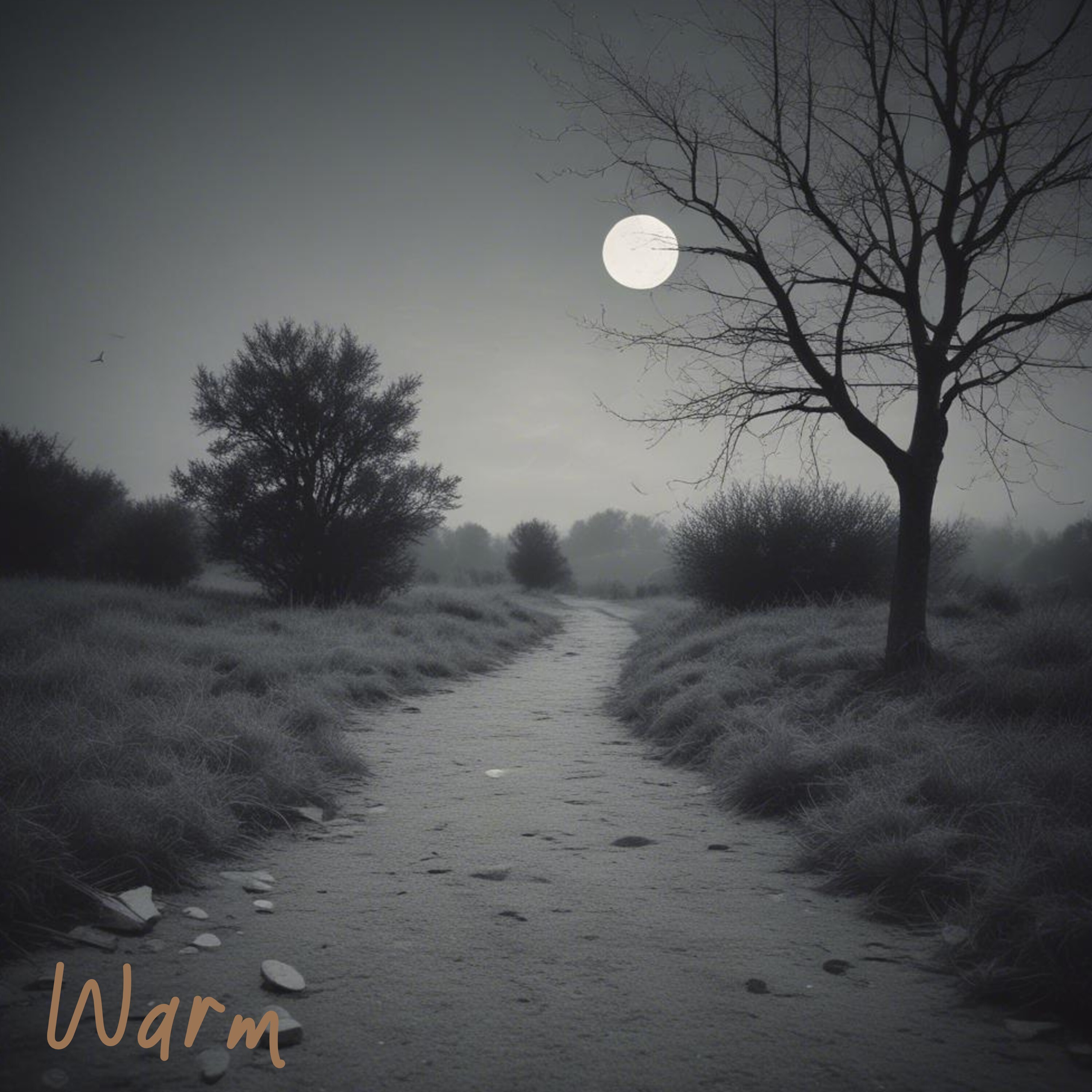 ジャケット写真