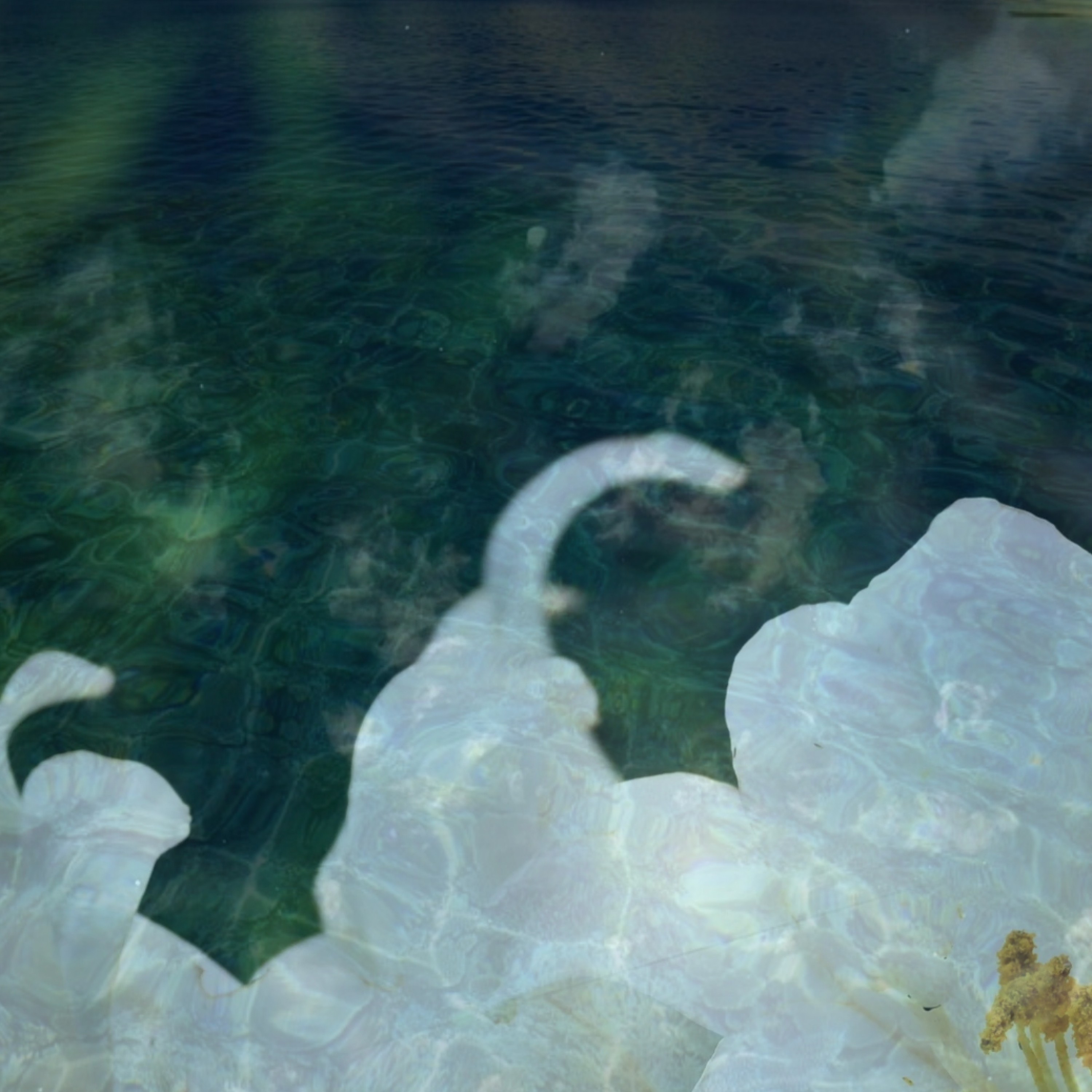 ジャケット写真