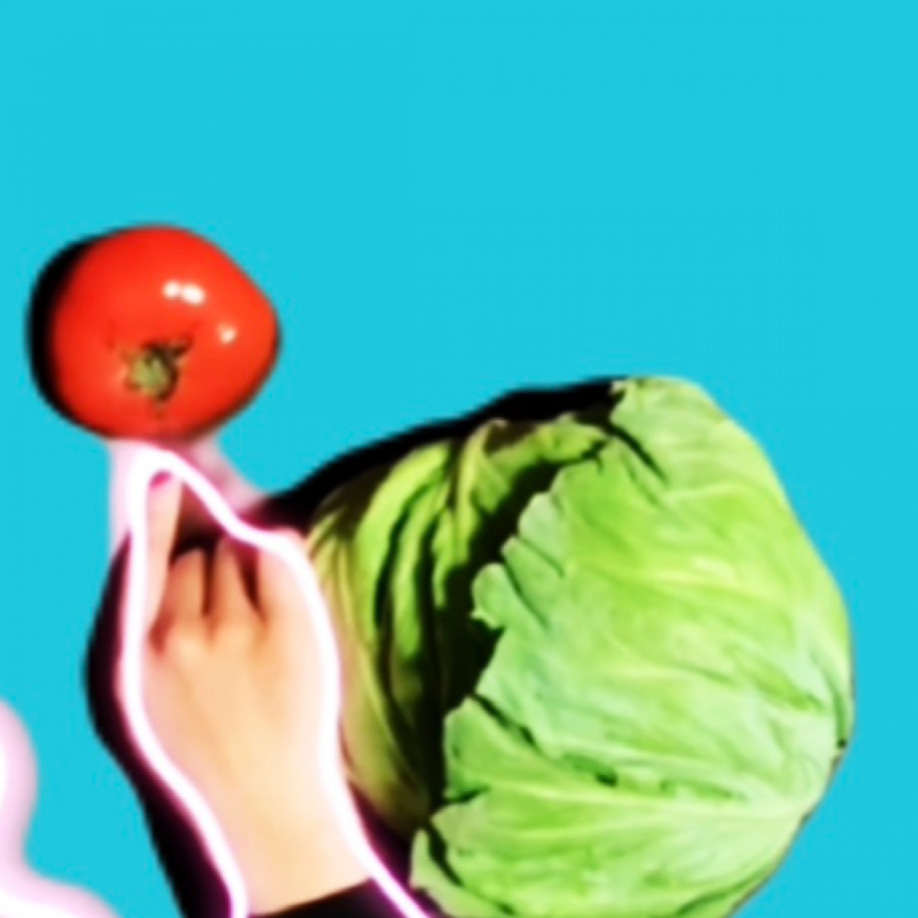 ジャケット写真