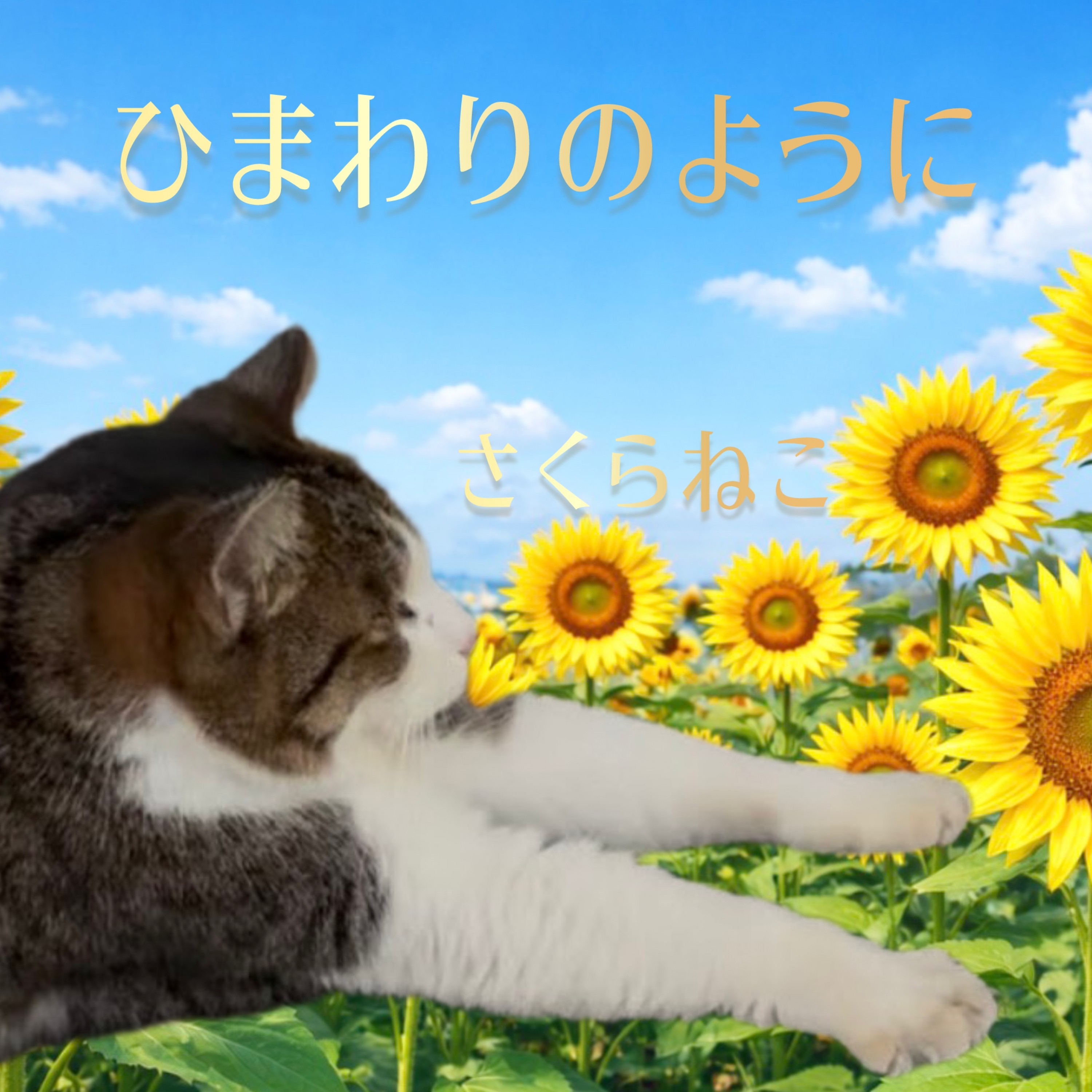 ジャケット写真