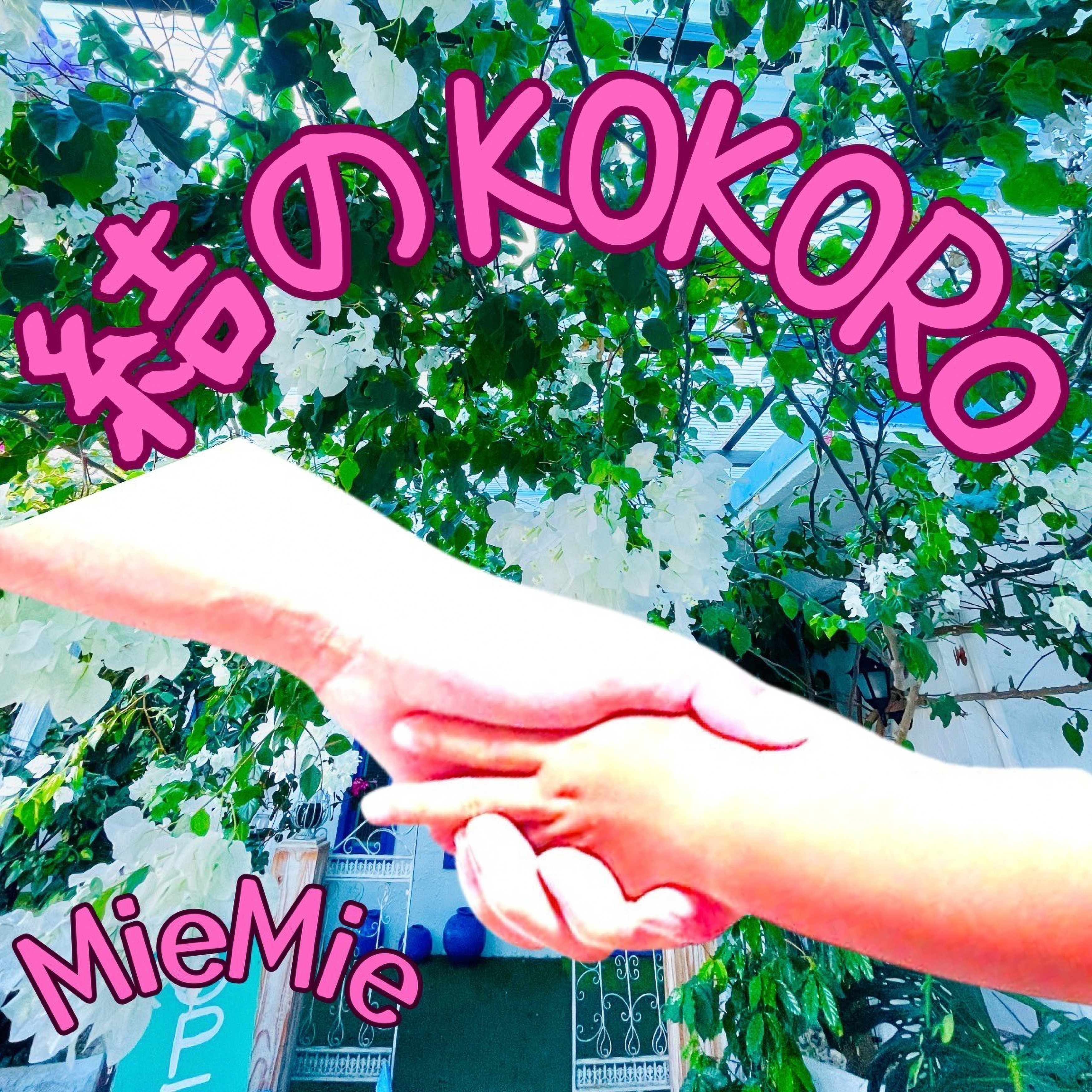 ジャケット写真