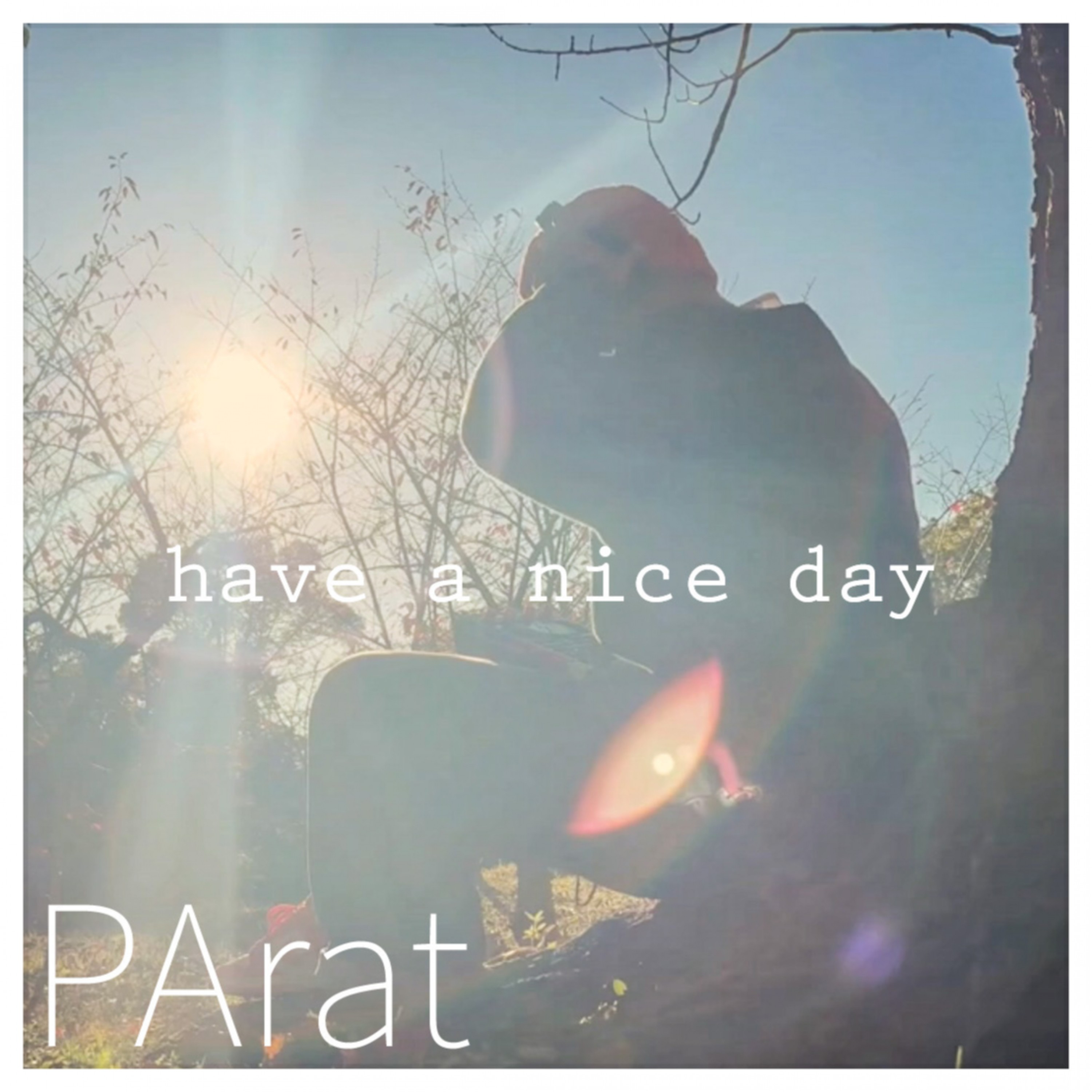 ジャケット写真