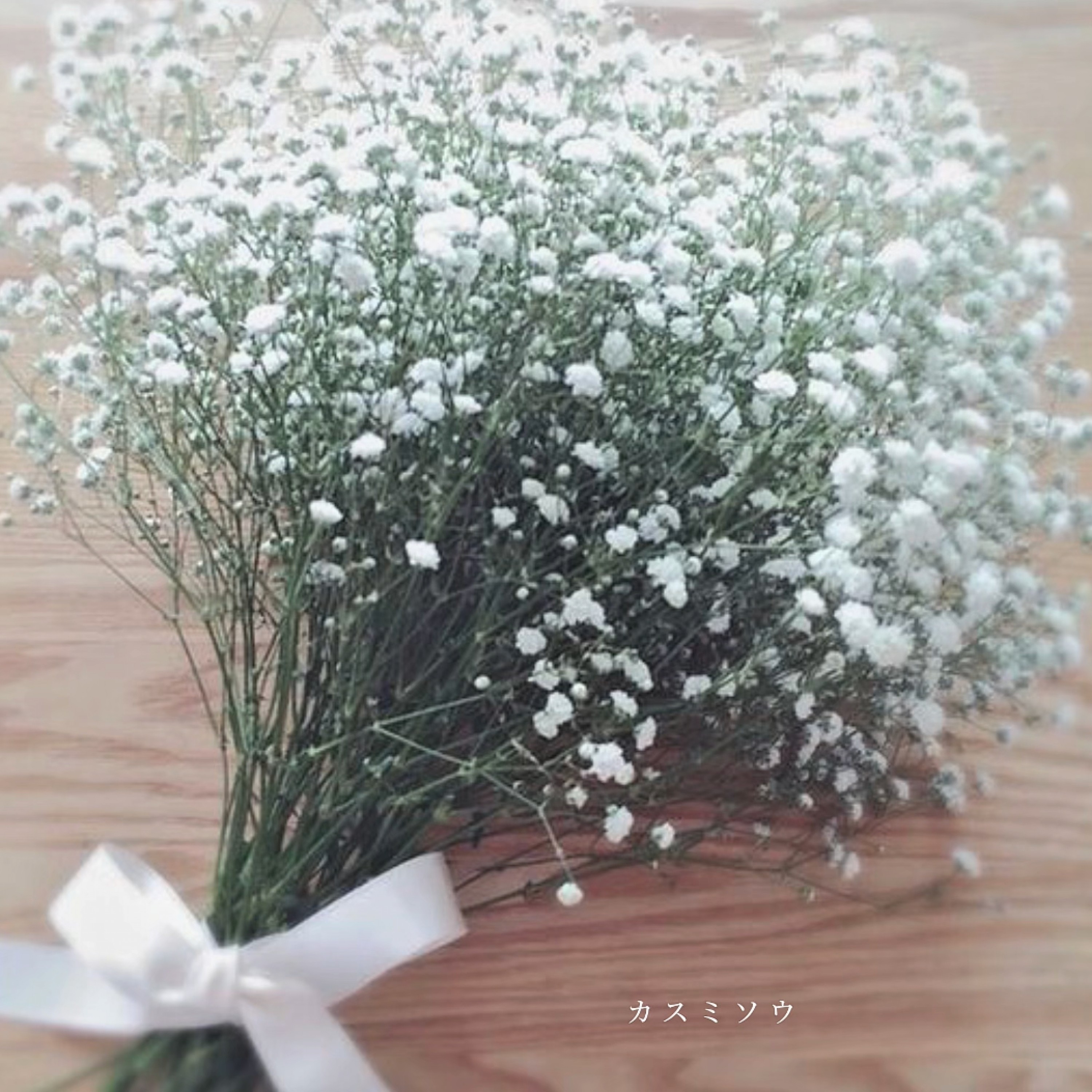 ジャケット写真