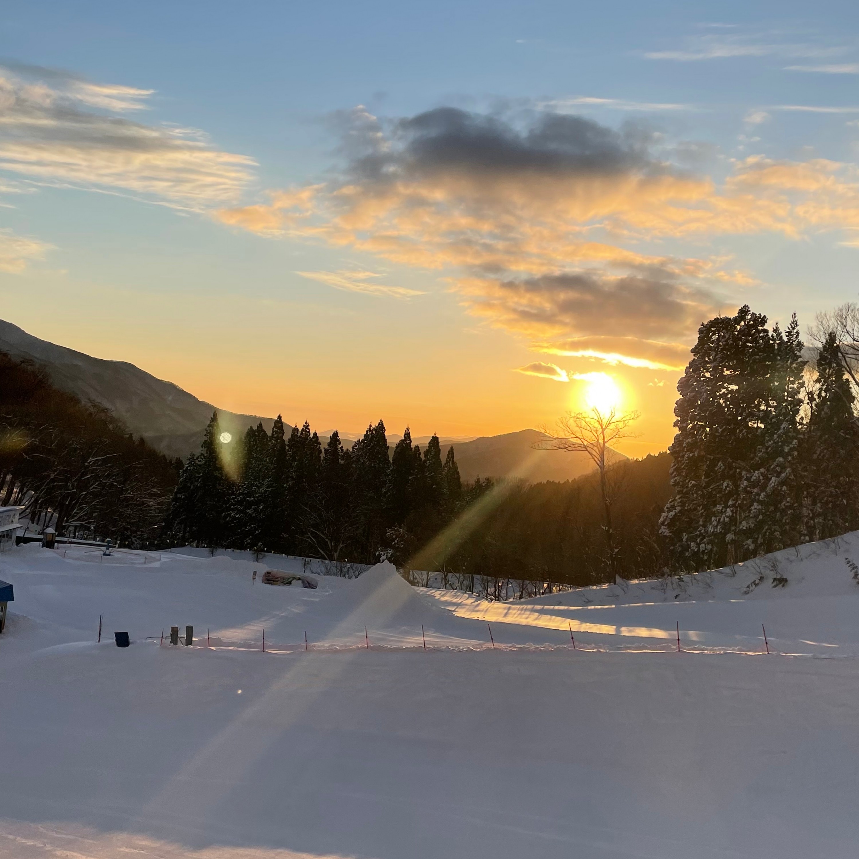 ジャケット写真