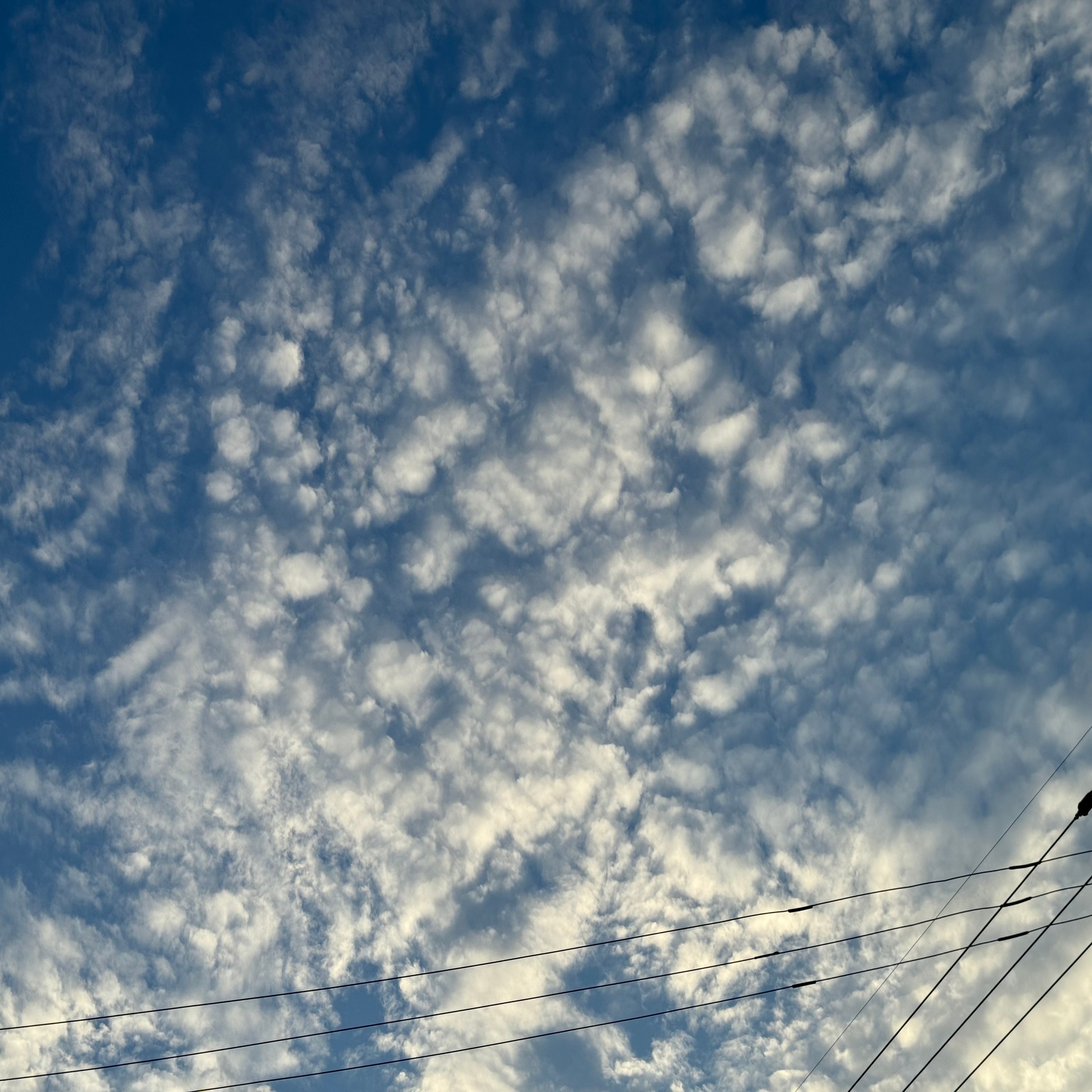 ジャケット写真