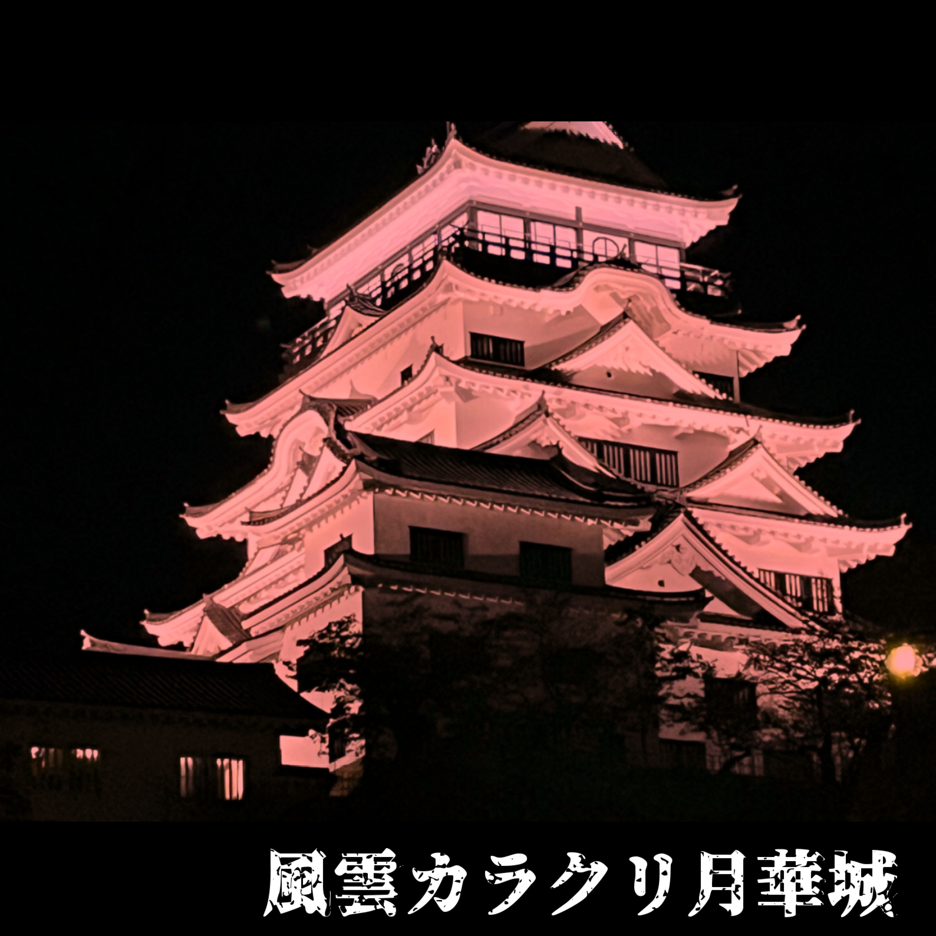 ジャケット写真