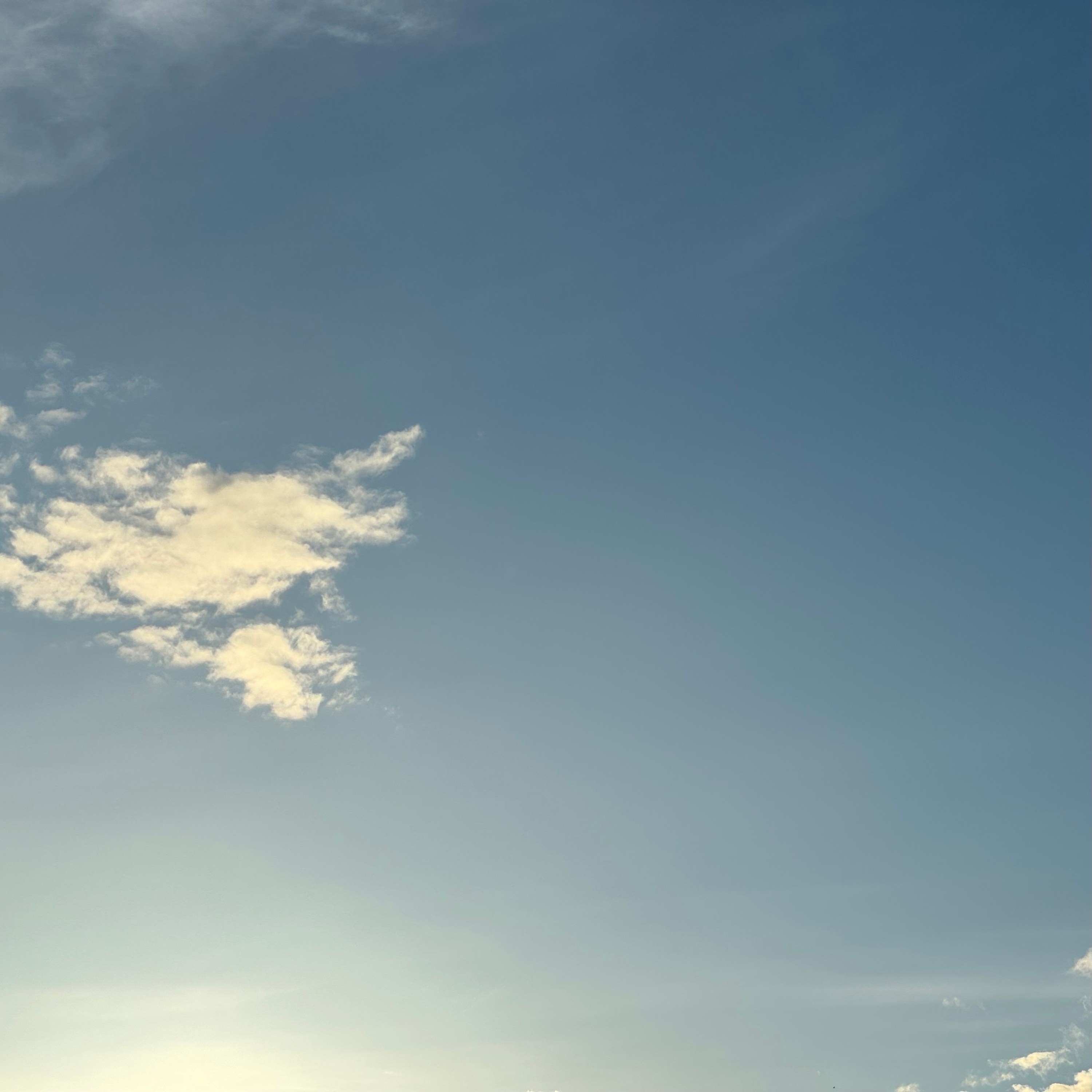 ジャケット写真