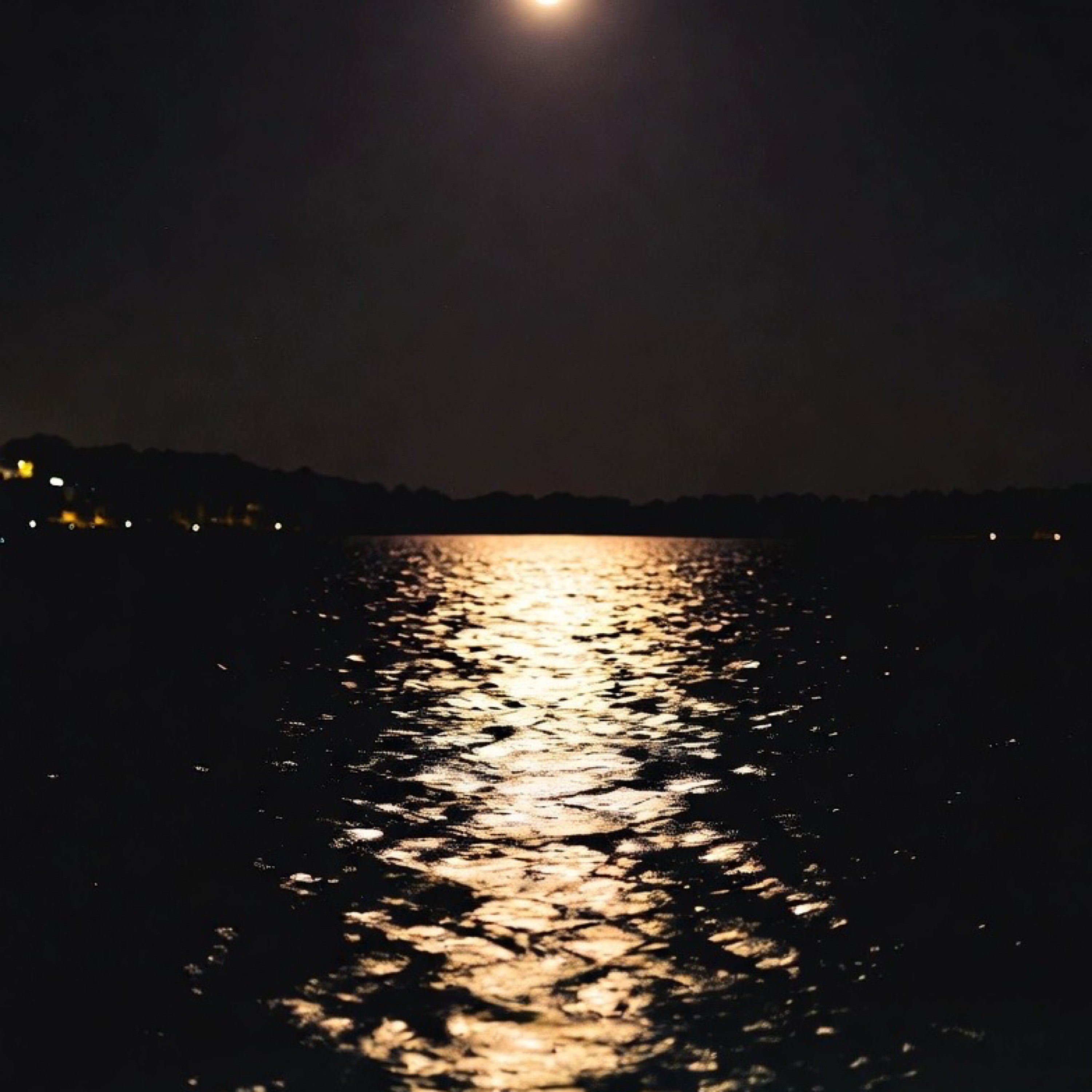 ジャケット写真