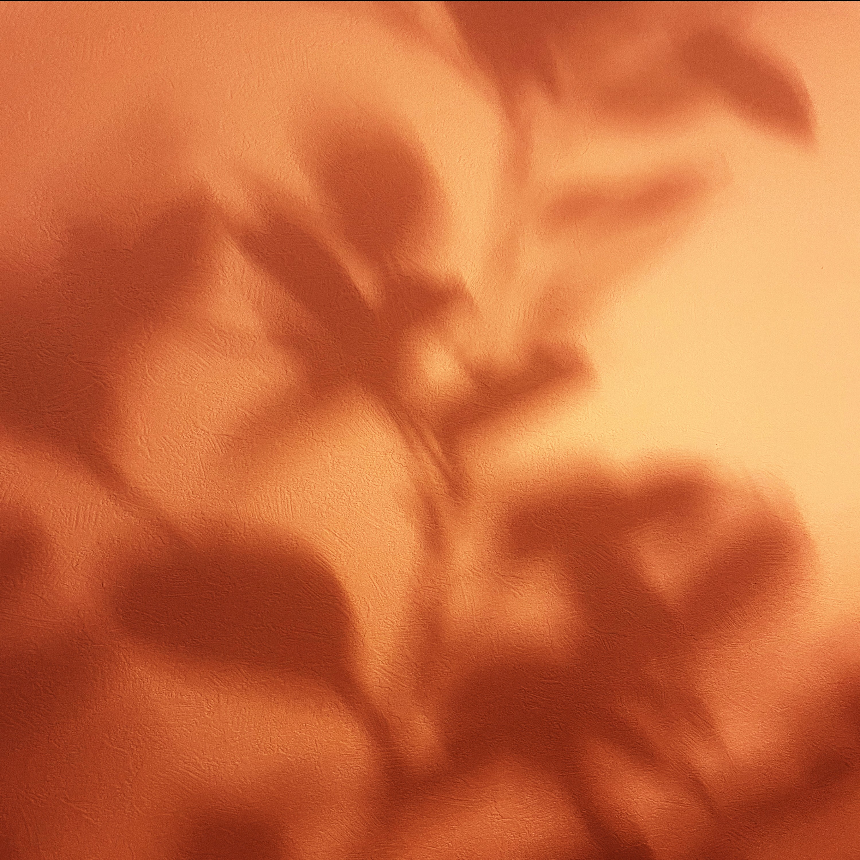 ジャケット写真