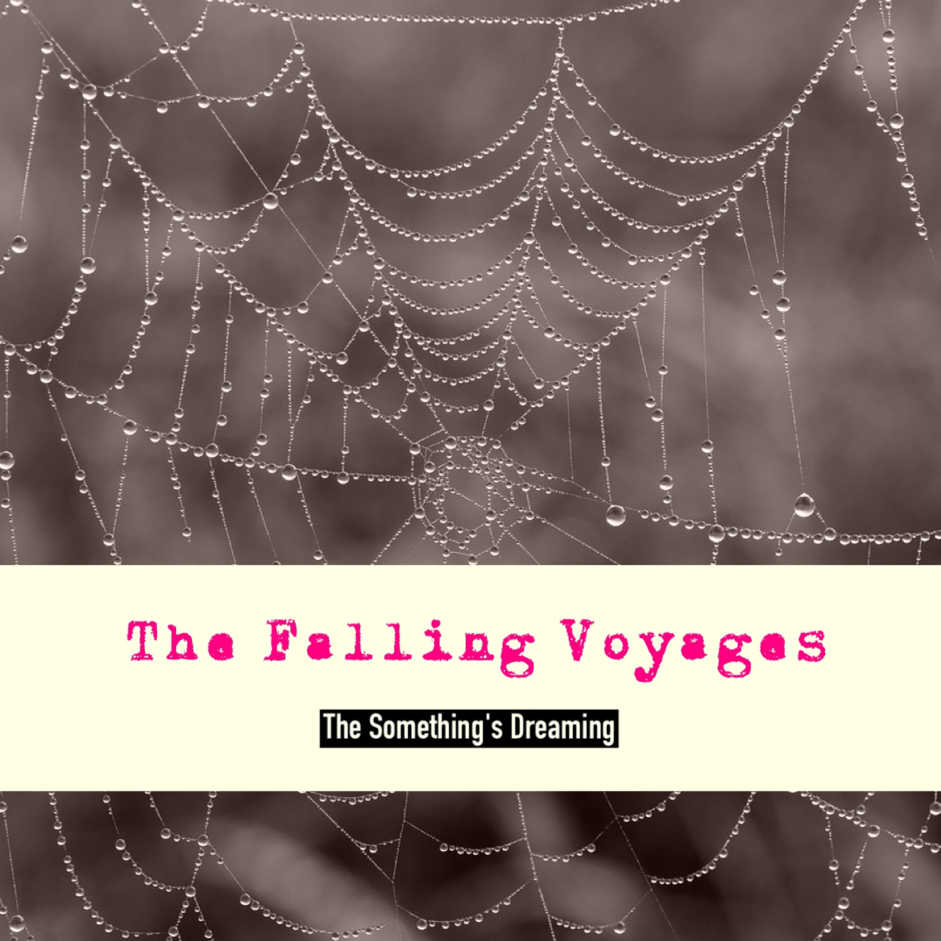 ジャケット写真