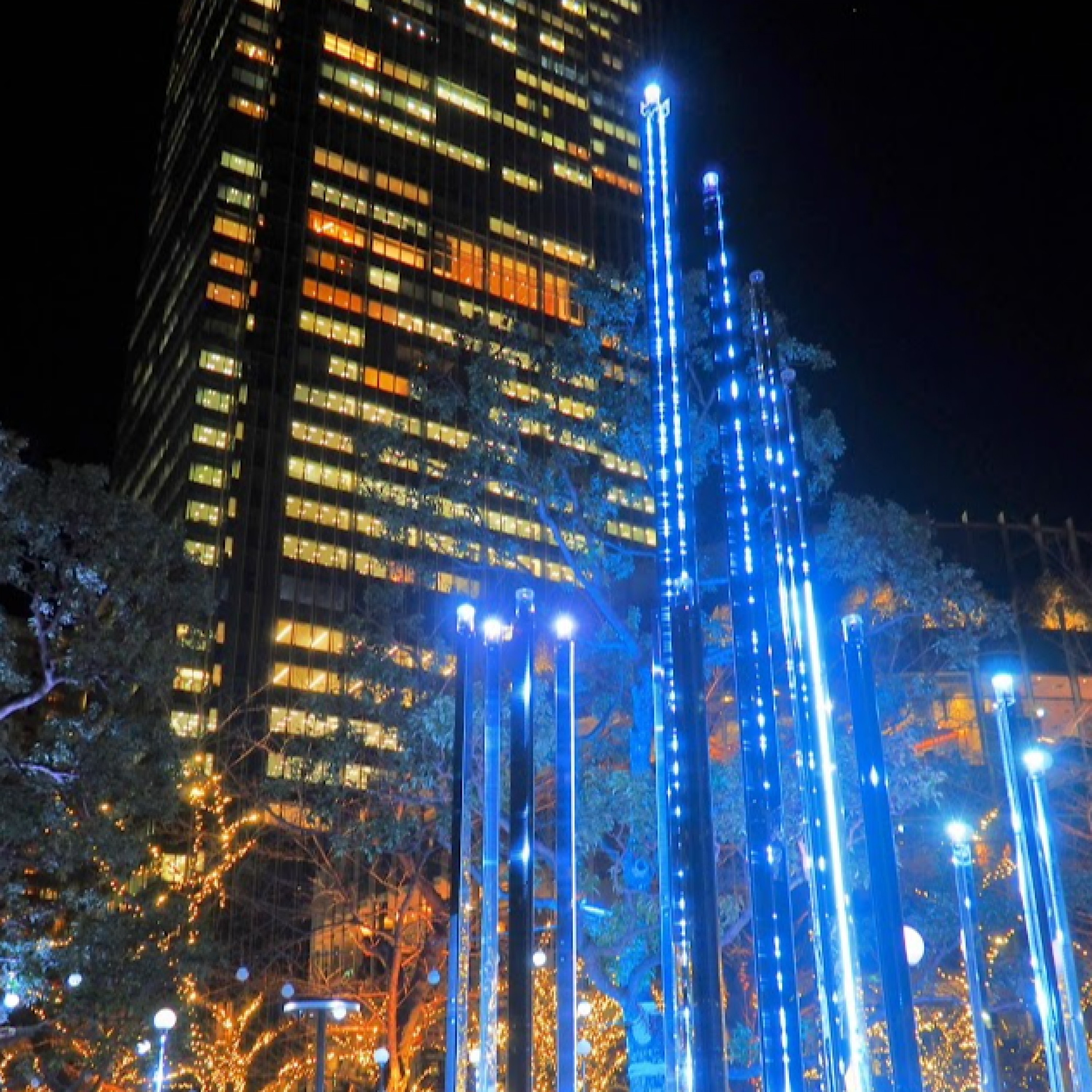 ジャケット写真