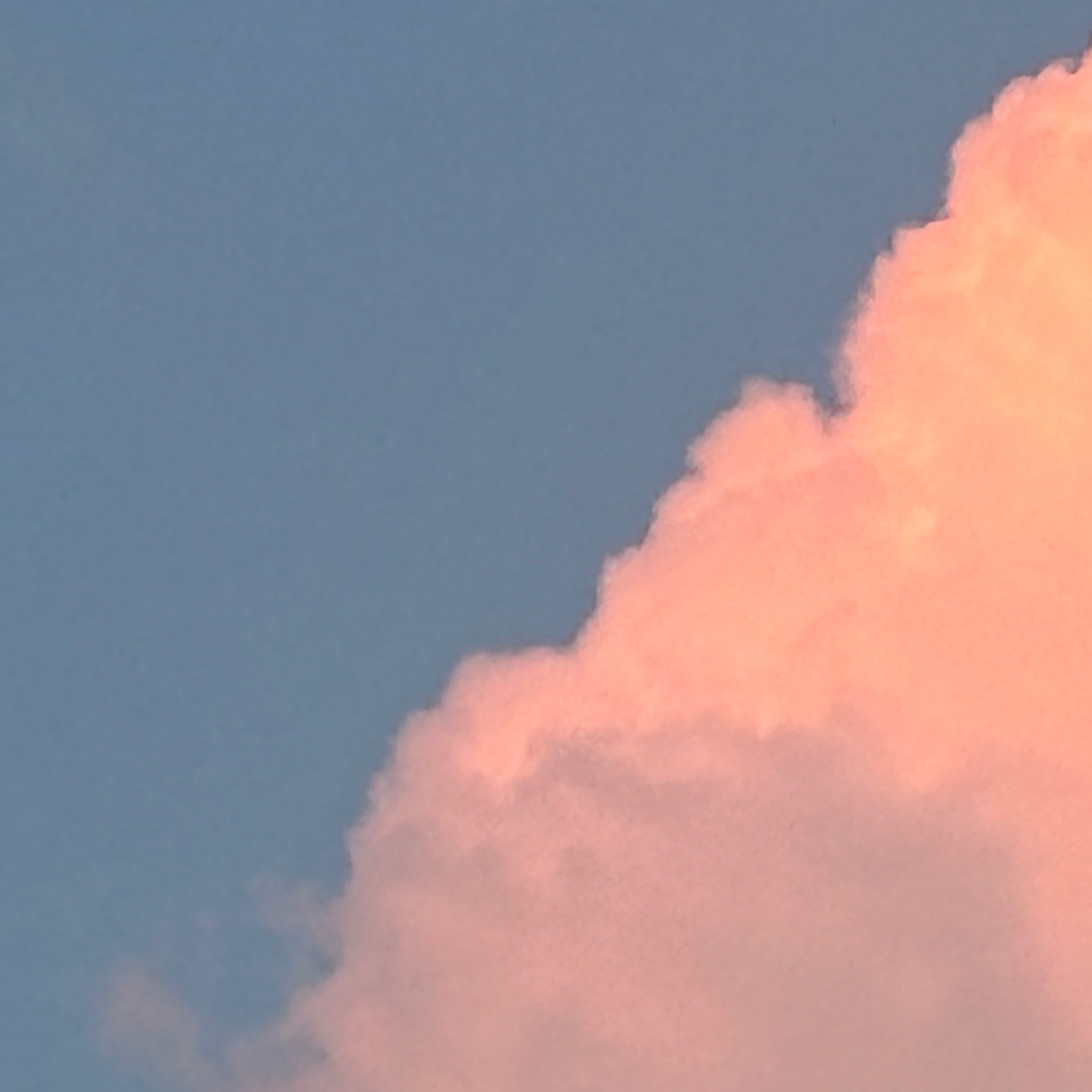 ジャケット写真