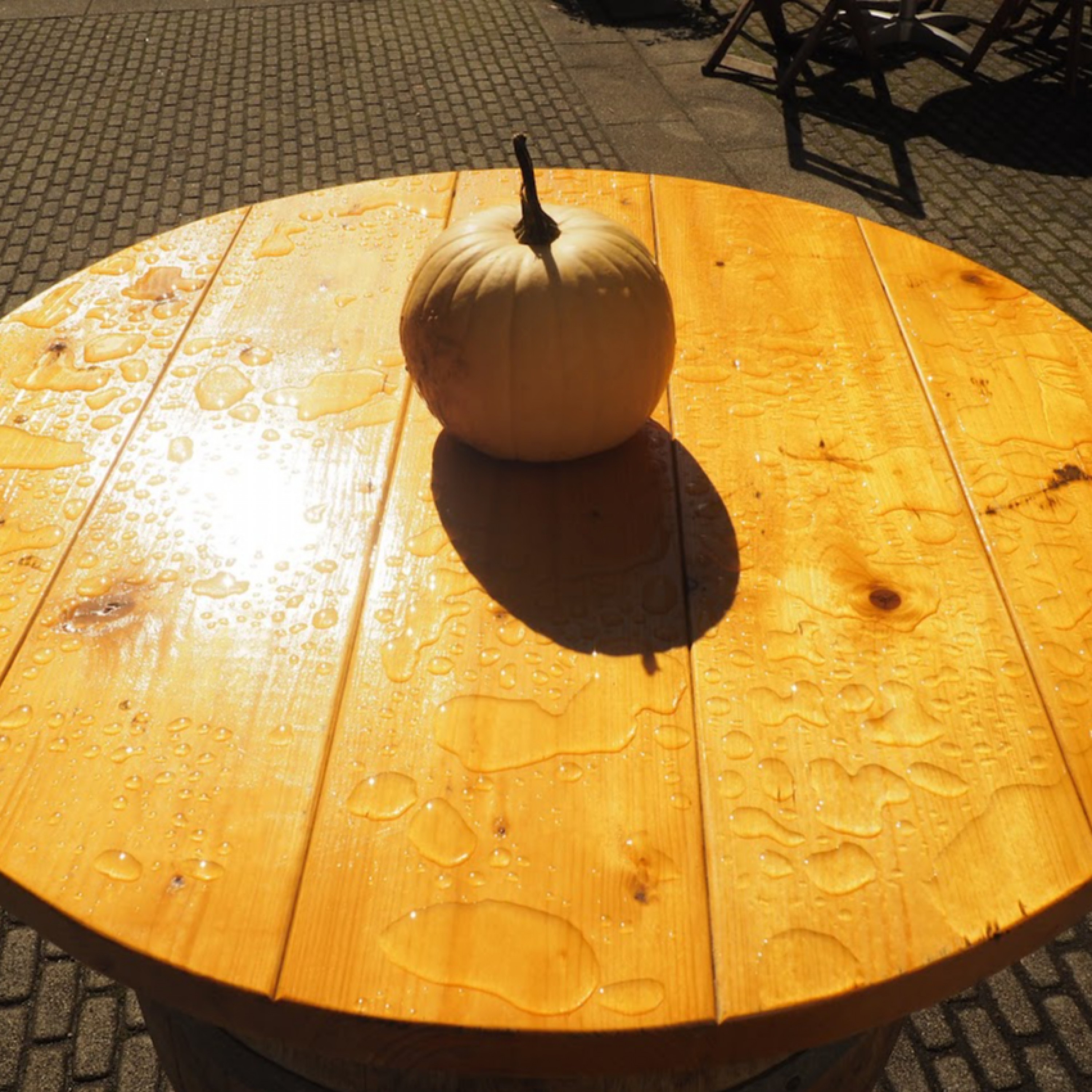 ジャケット写真