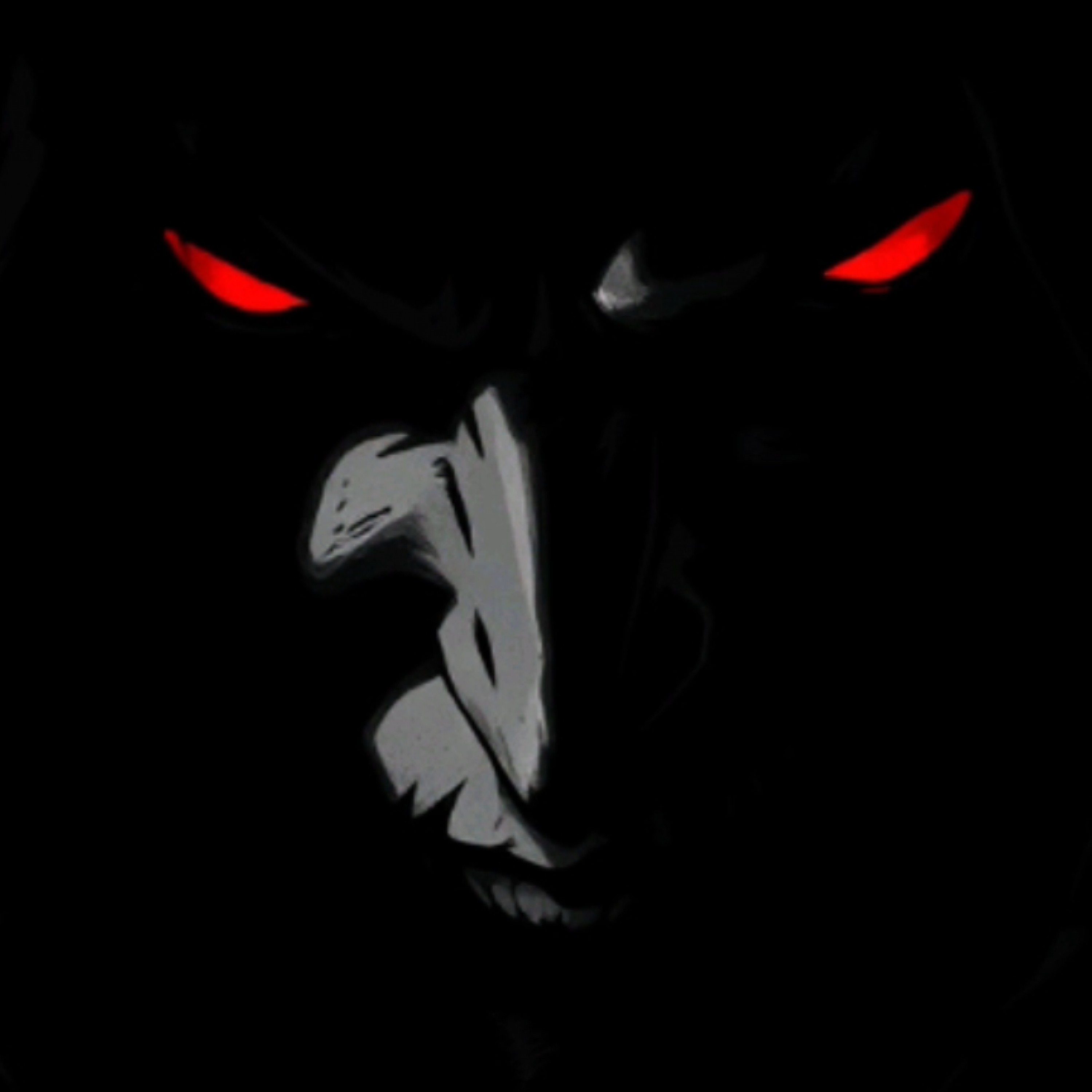 ジャケット写真