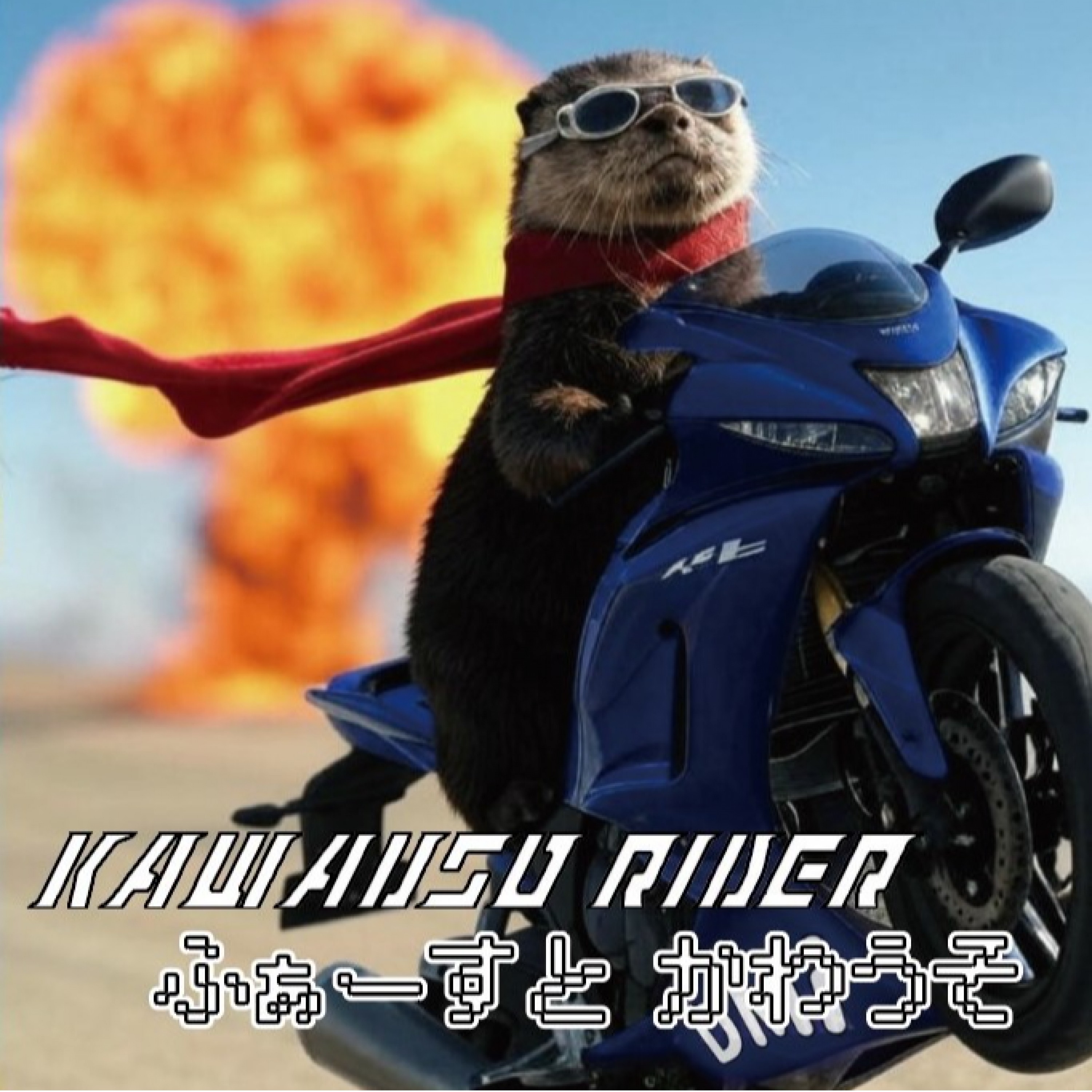 ジャケット写真