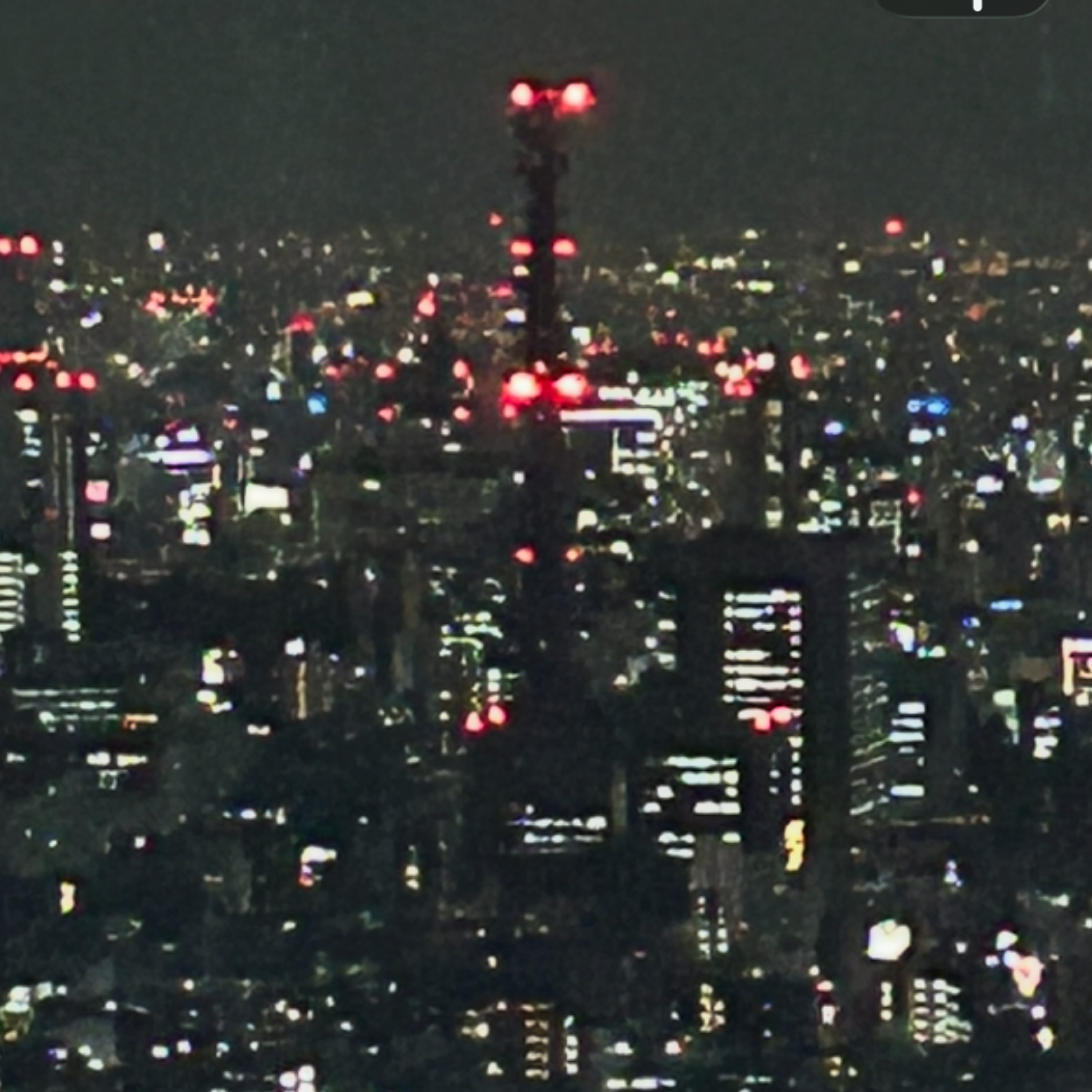 ジャケット写真
