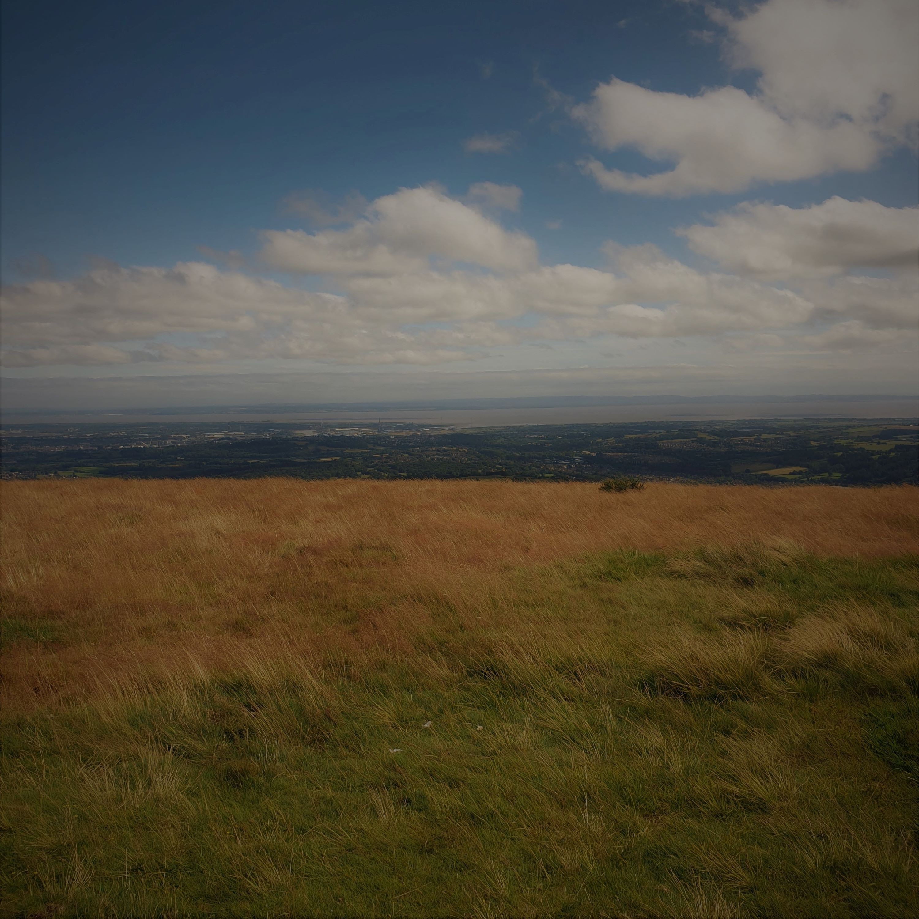 ジャケット写真