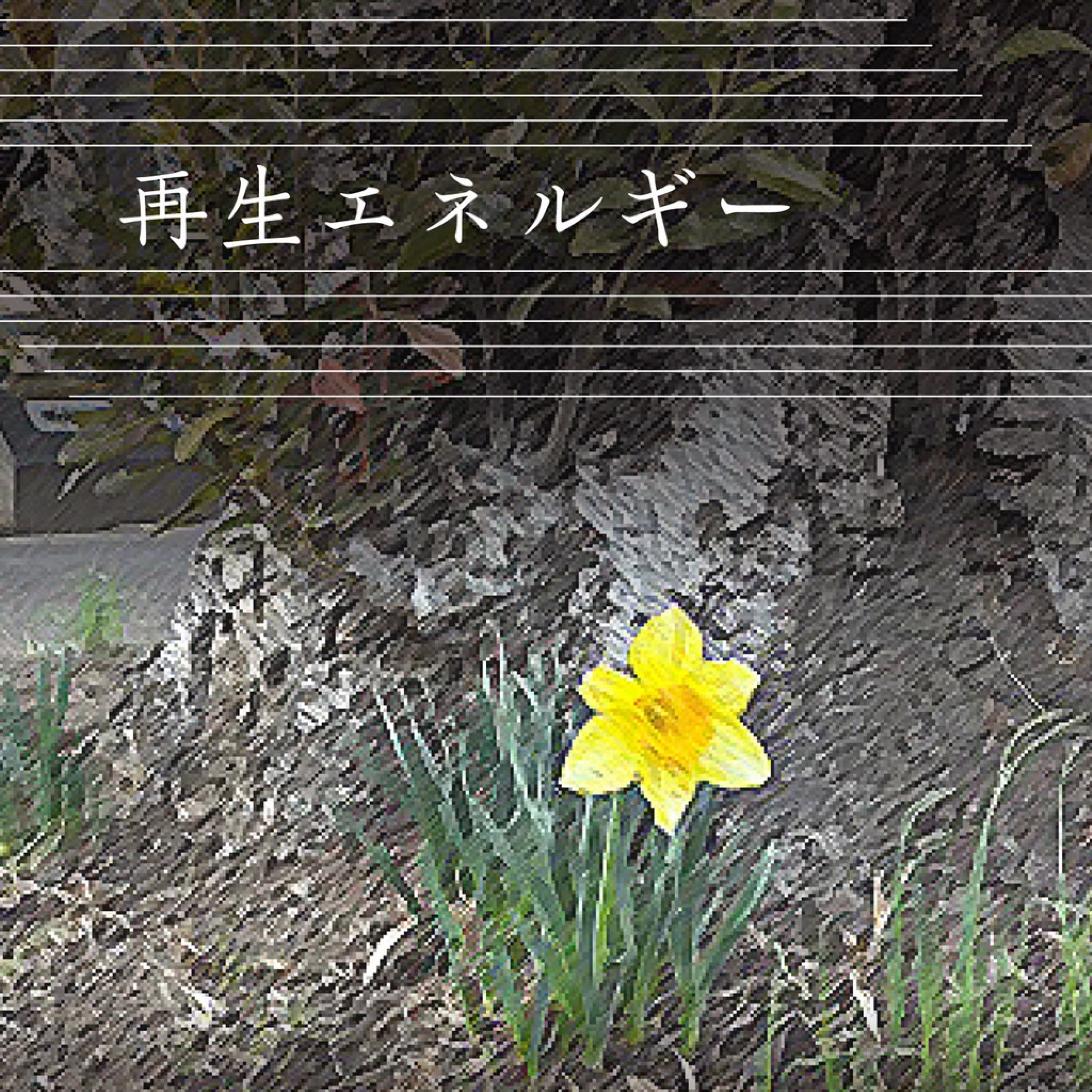 ジャケット写真