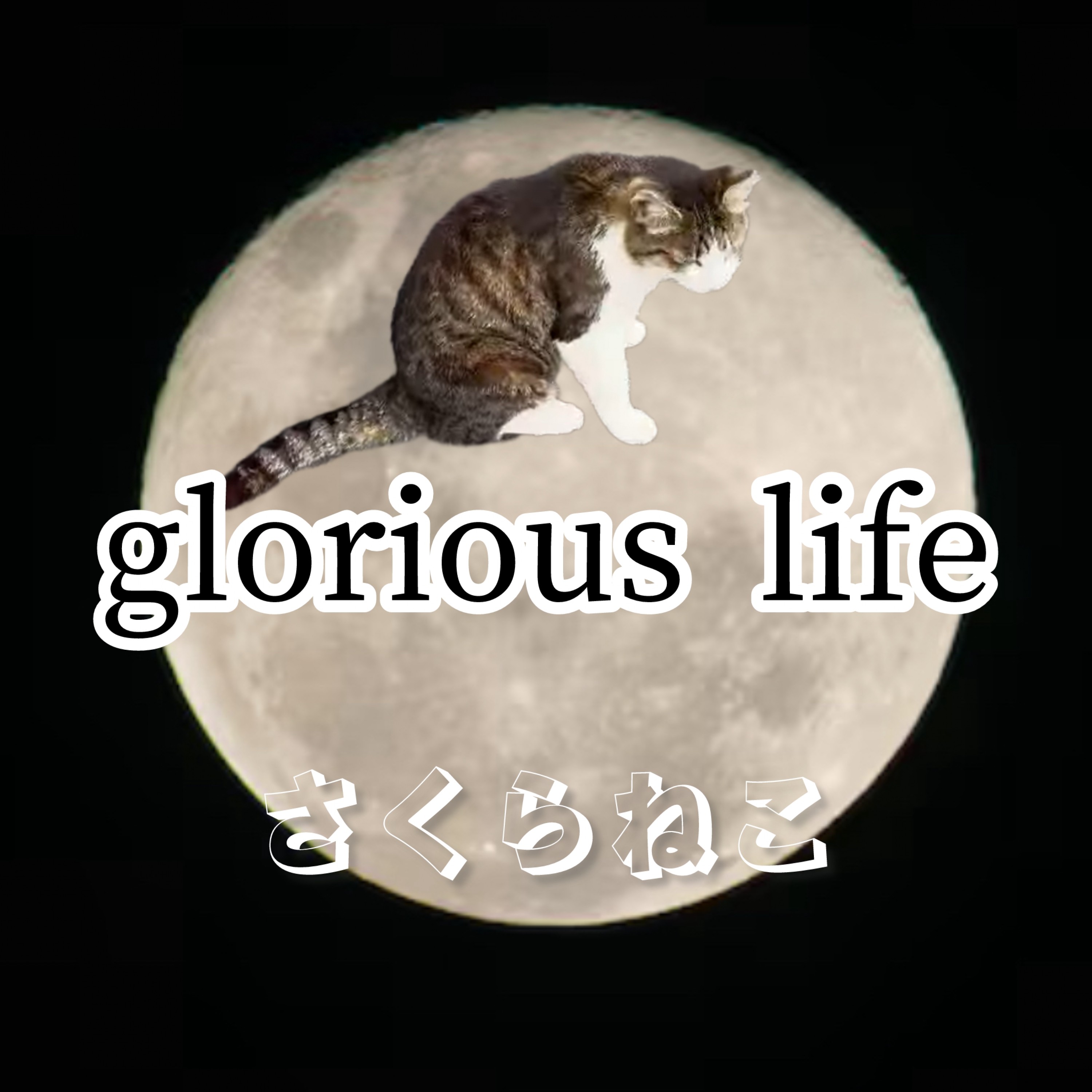 ジャケット写真