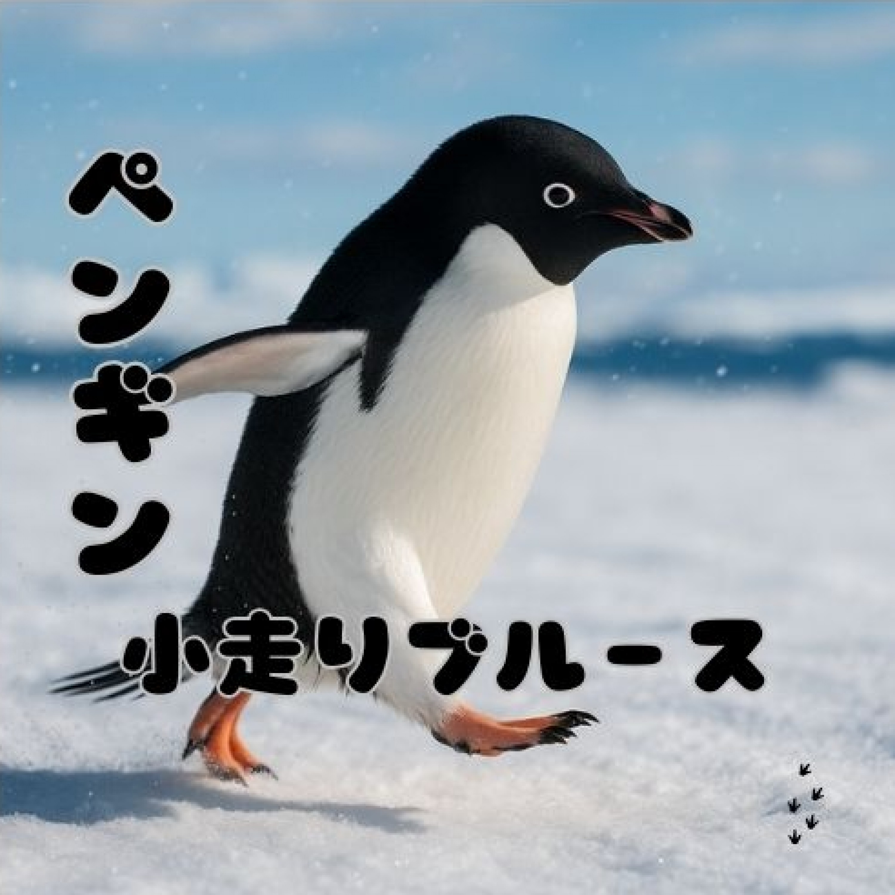 ジャケット写真