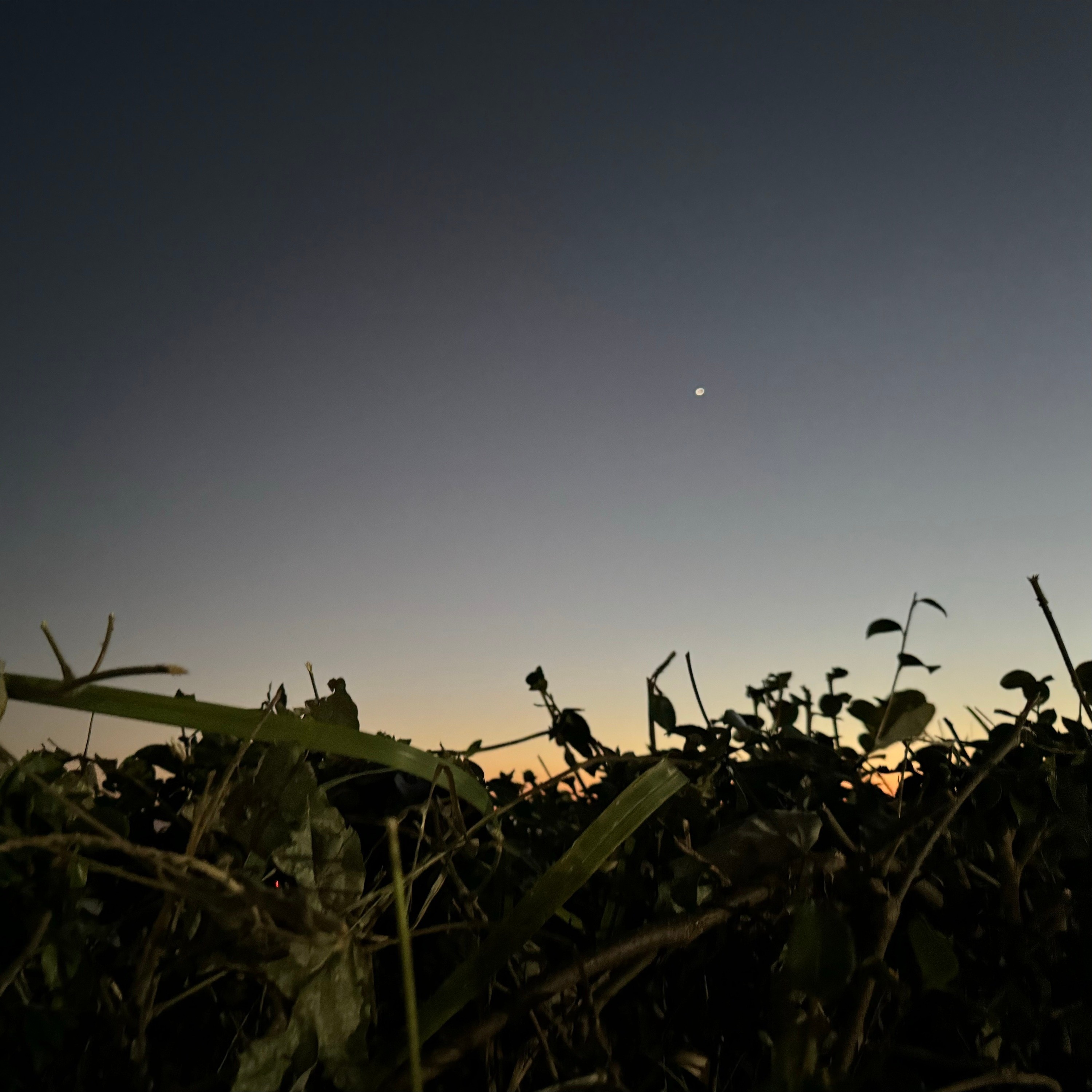 ジャケット写真