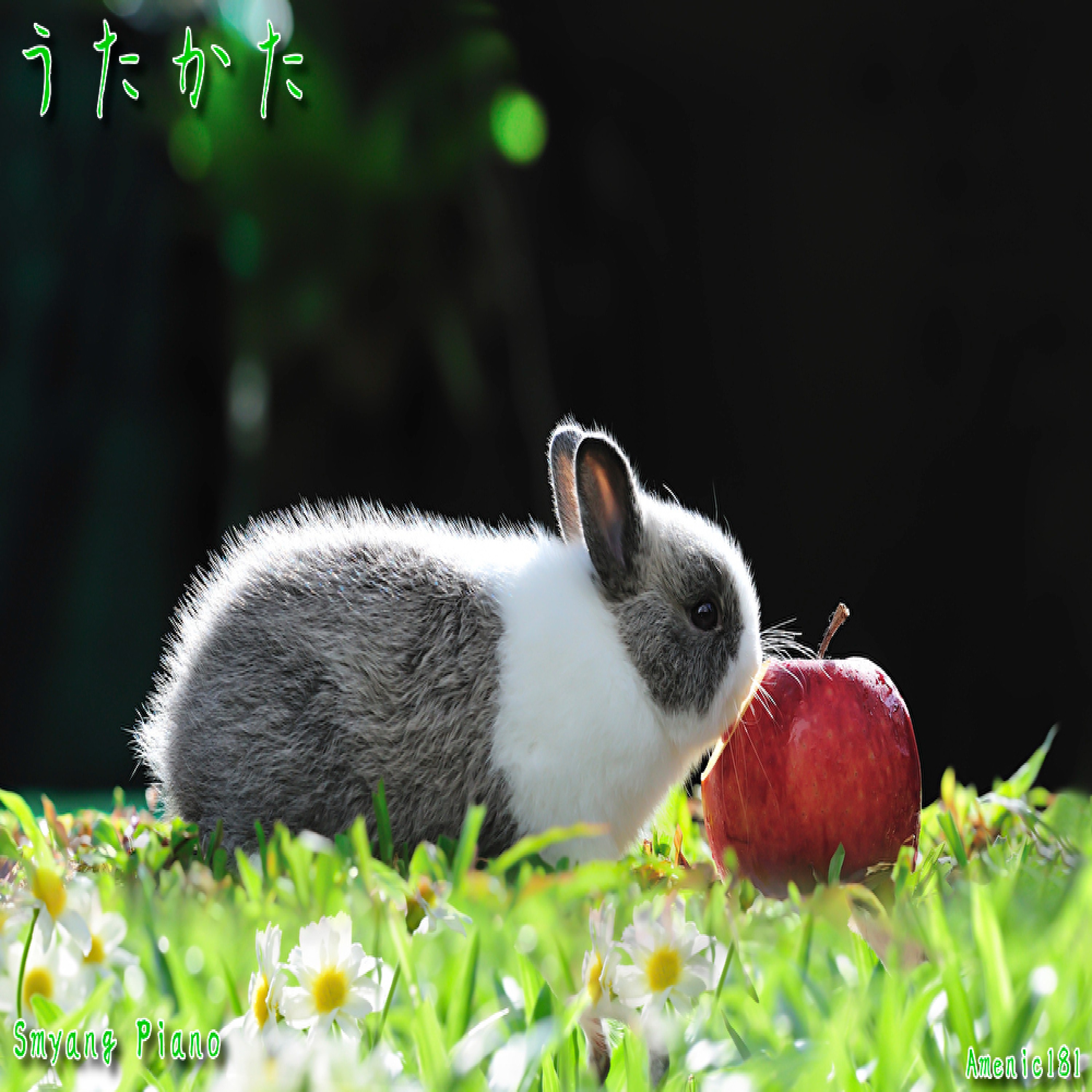 ジャケット写真