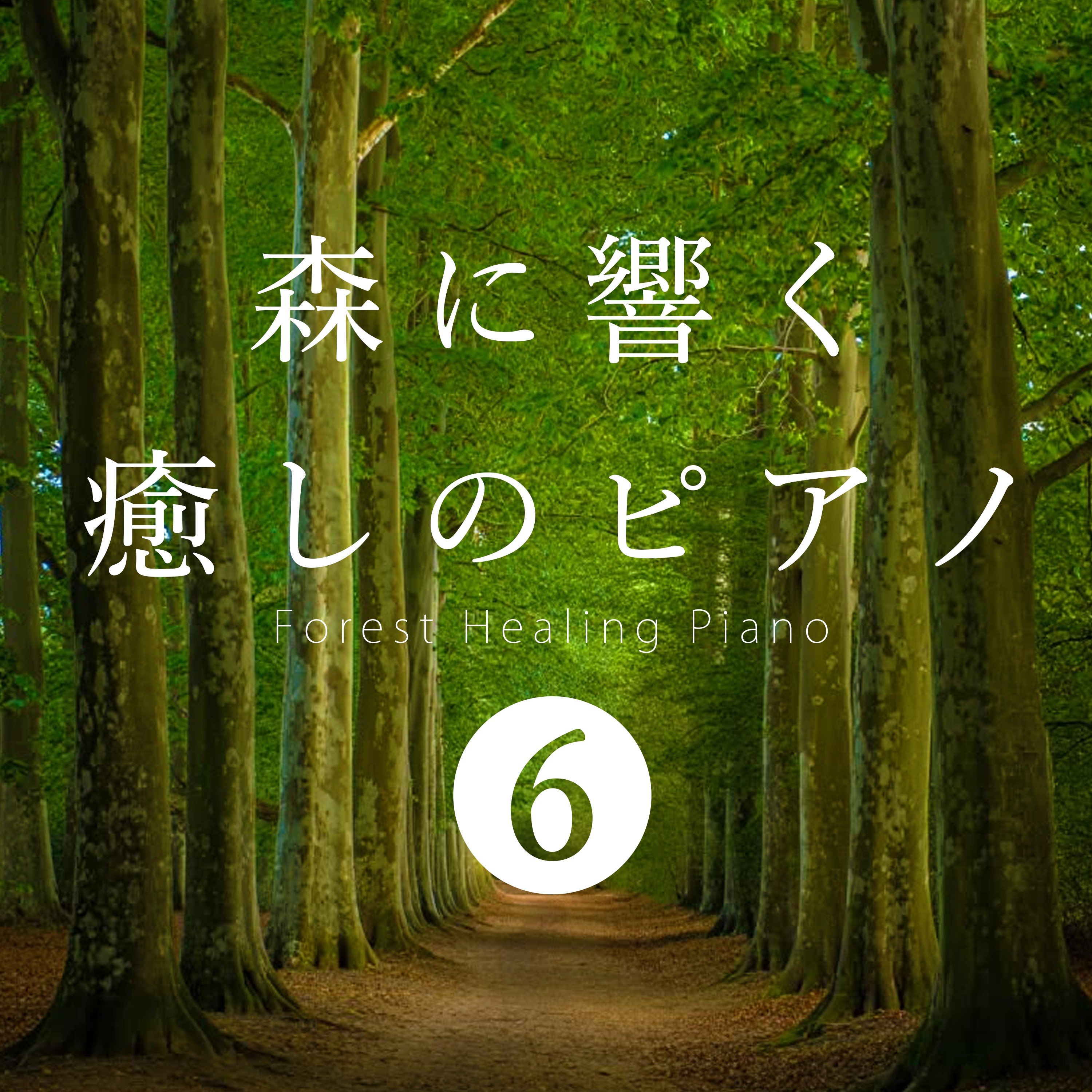 ジャケット写真