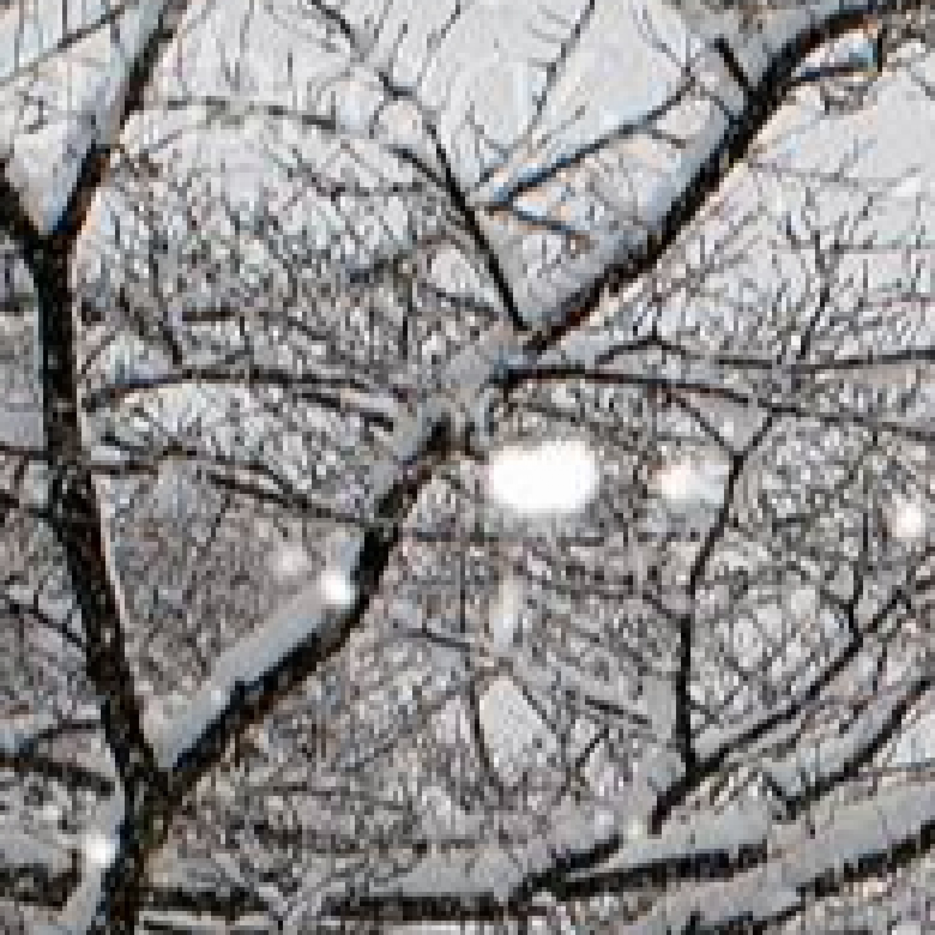 ジャケット写真