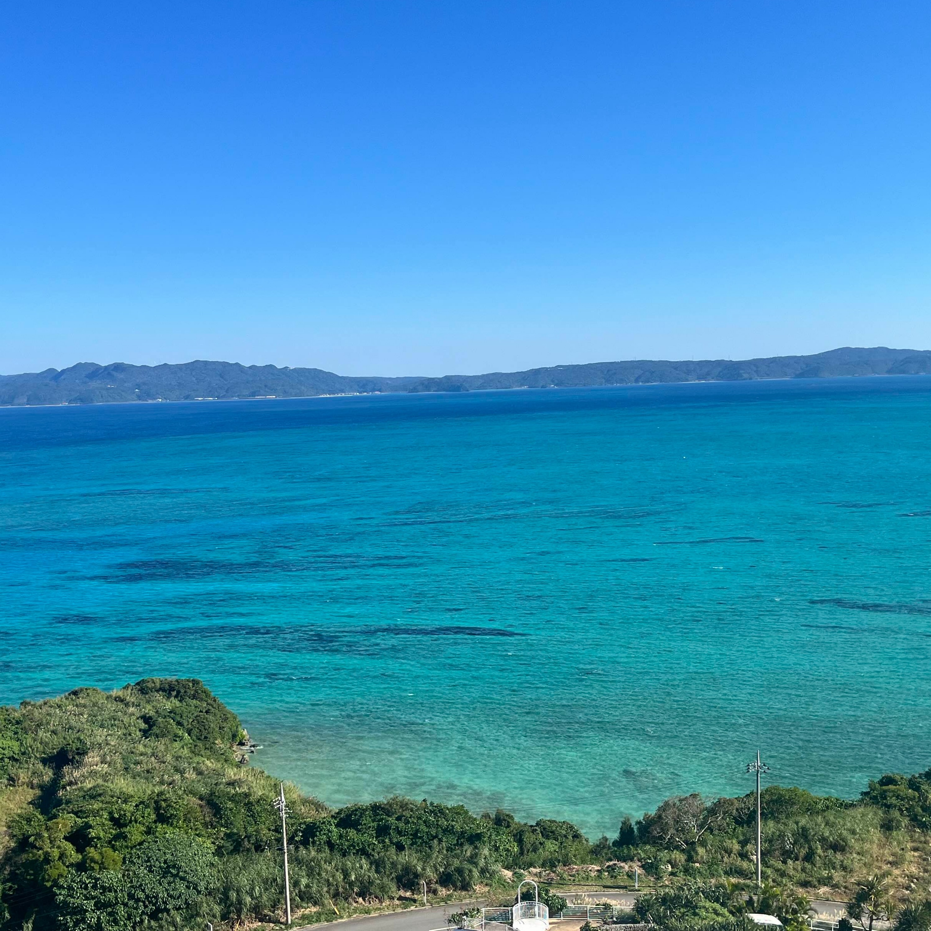 ジャケット写真