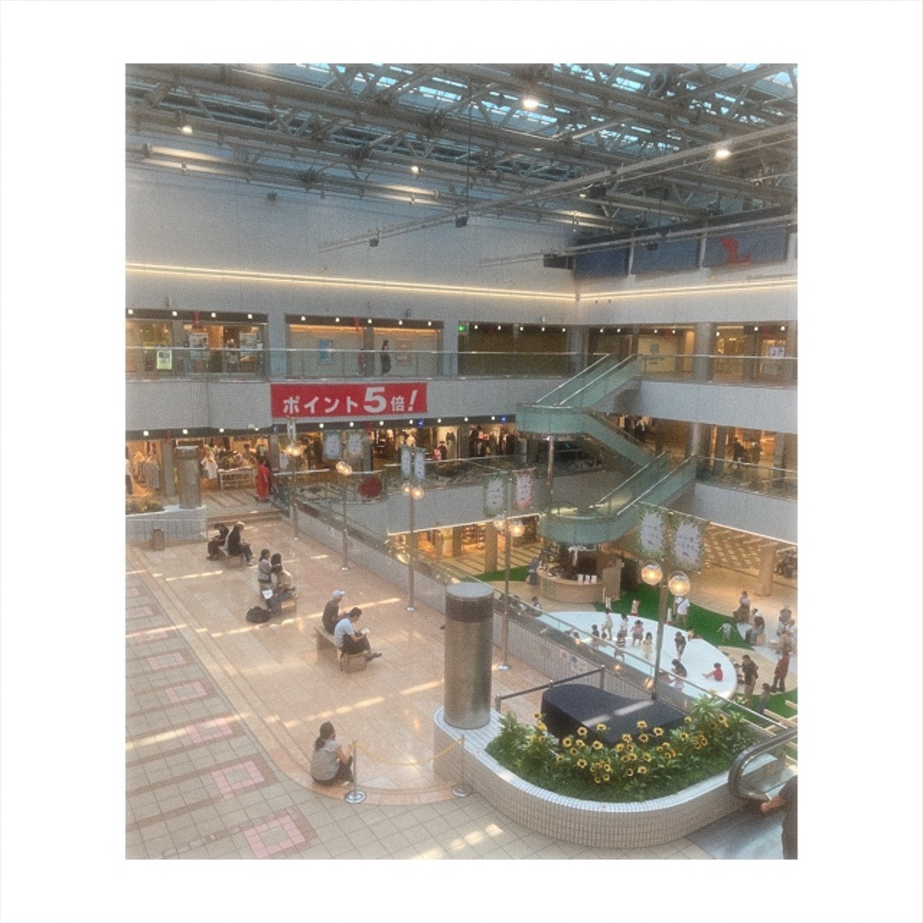 ジャケット写真