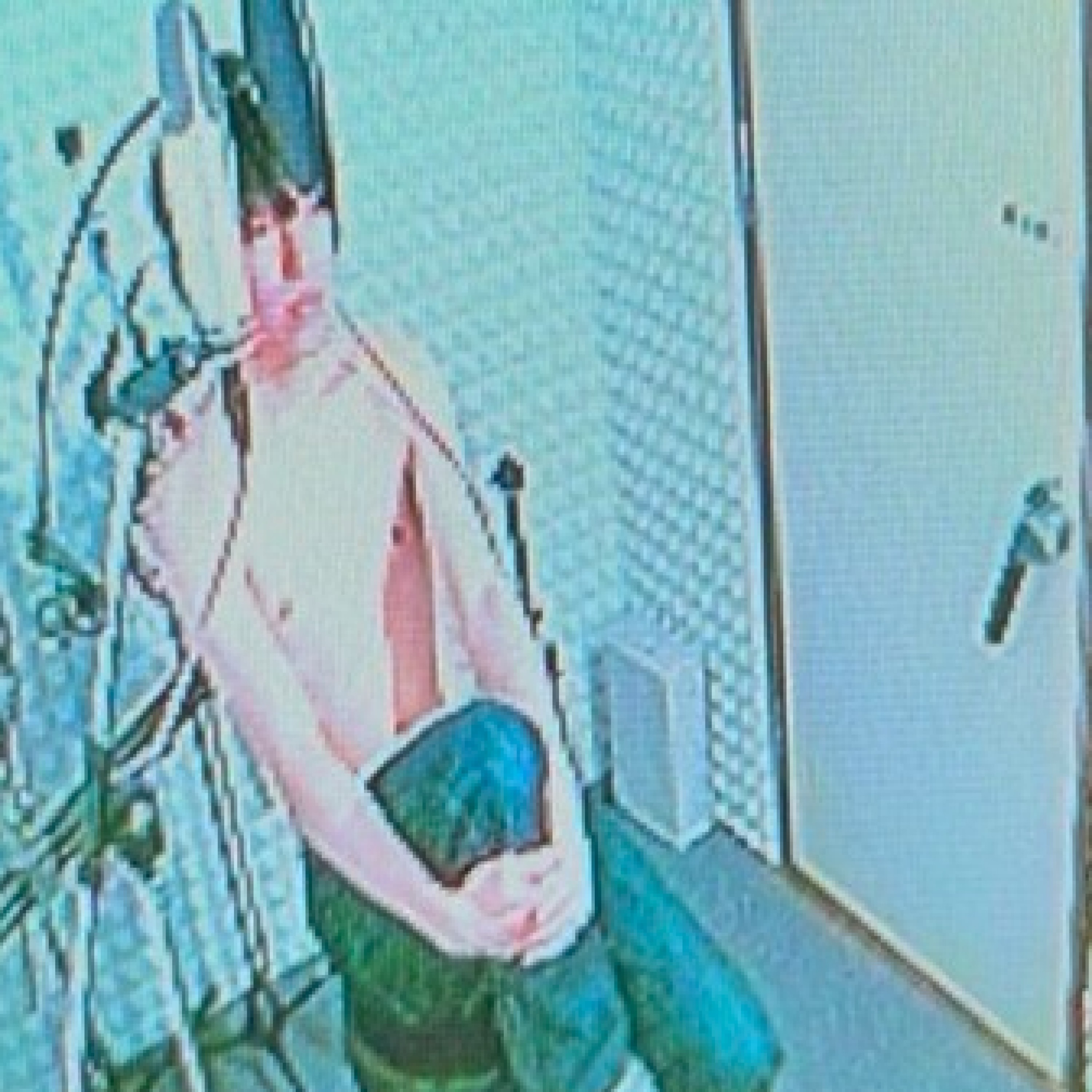 ジャケット写真