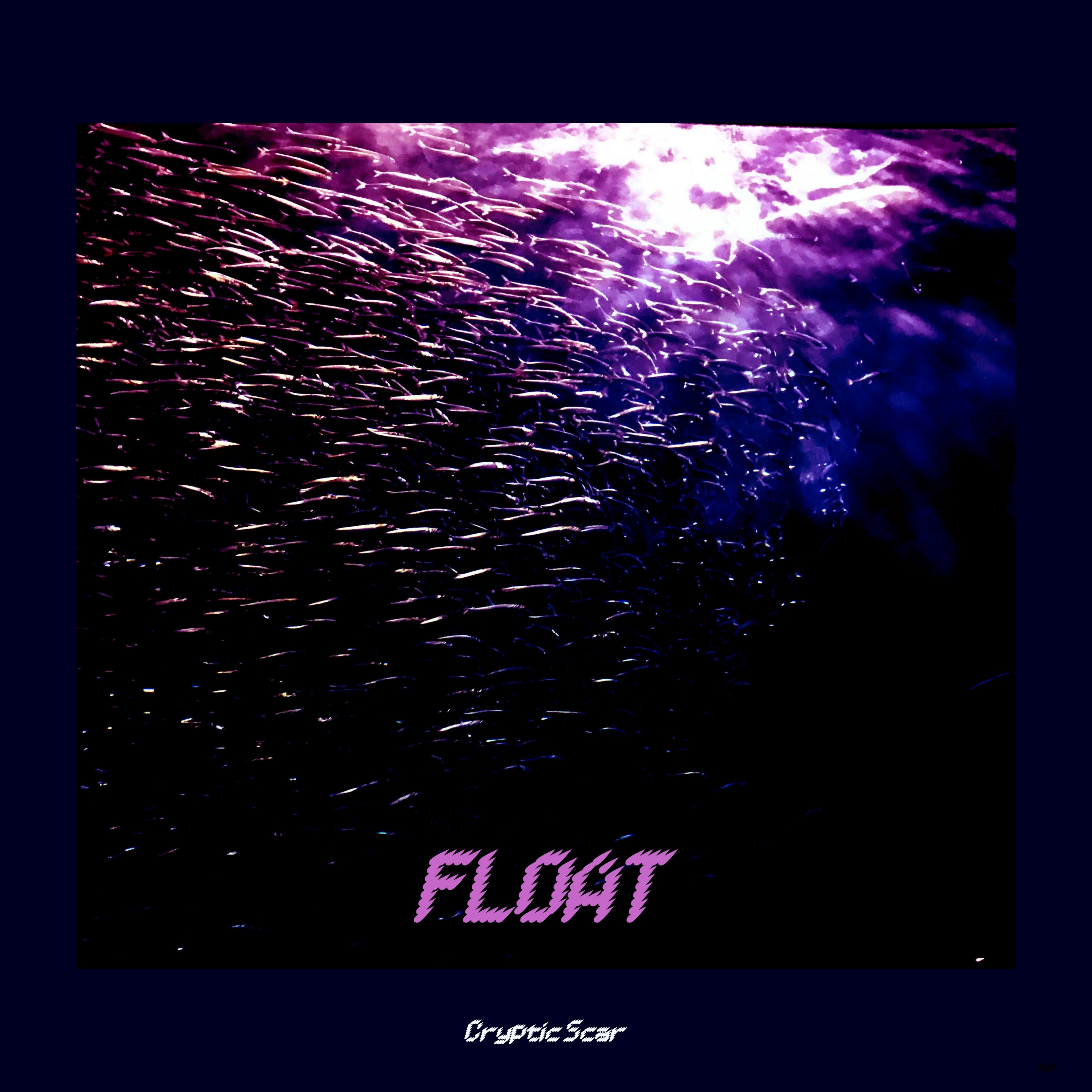 ジャケット写真