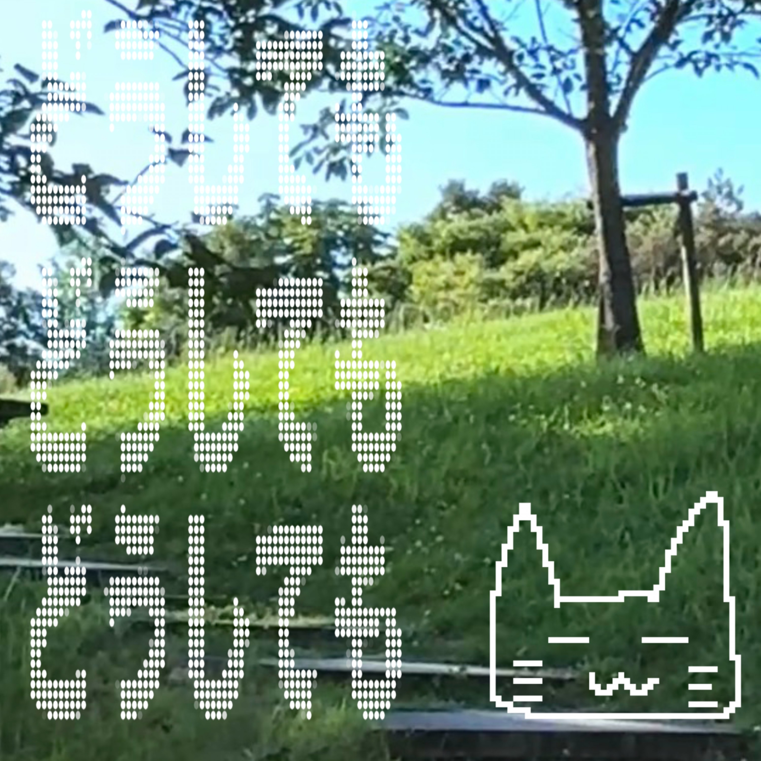 ジャケット写真