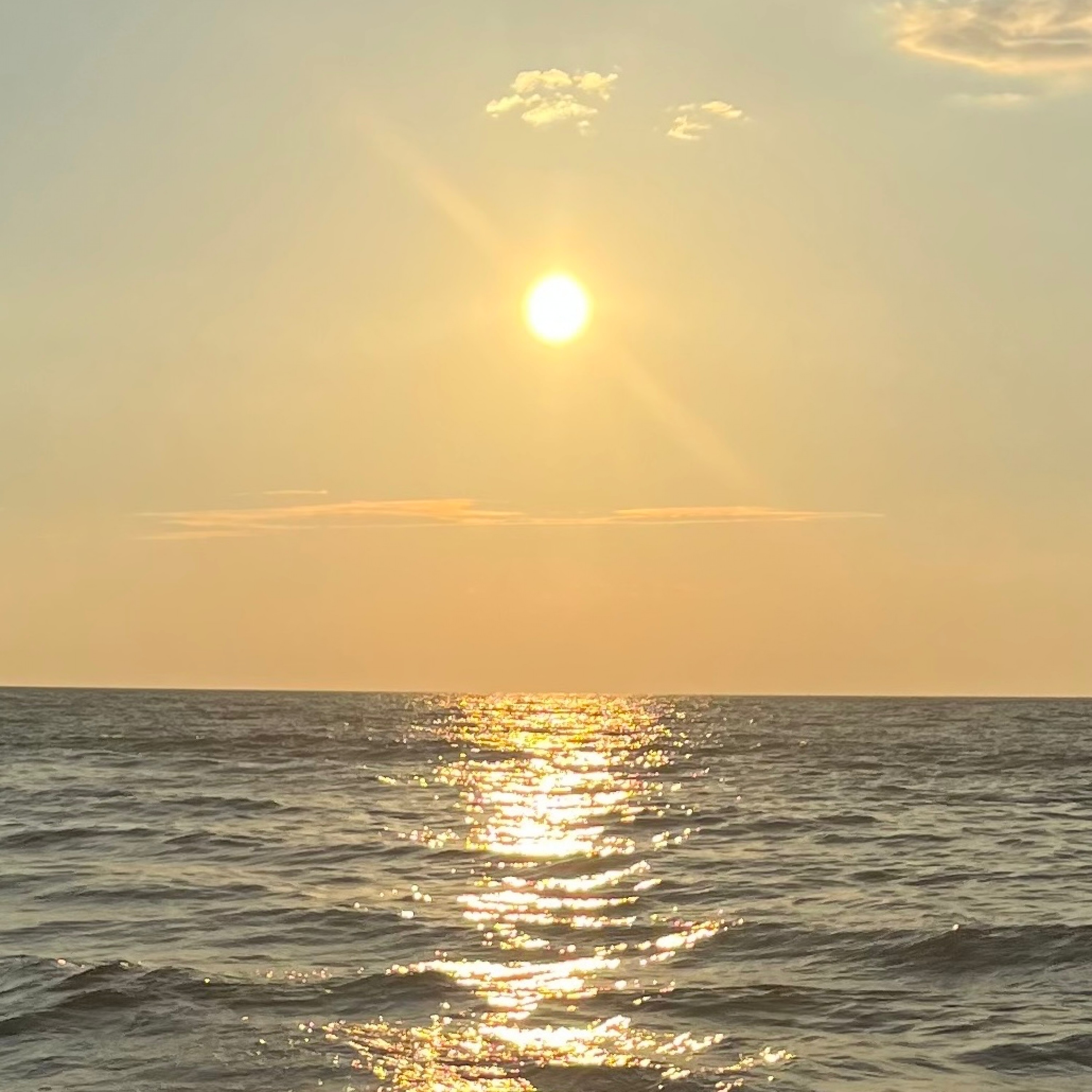 ジャケット写真