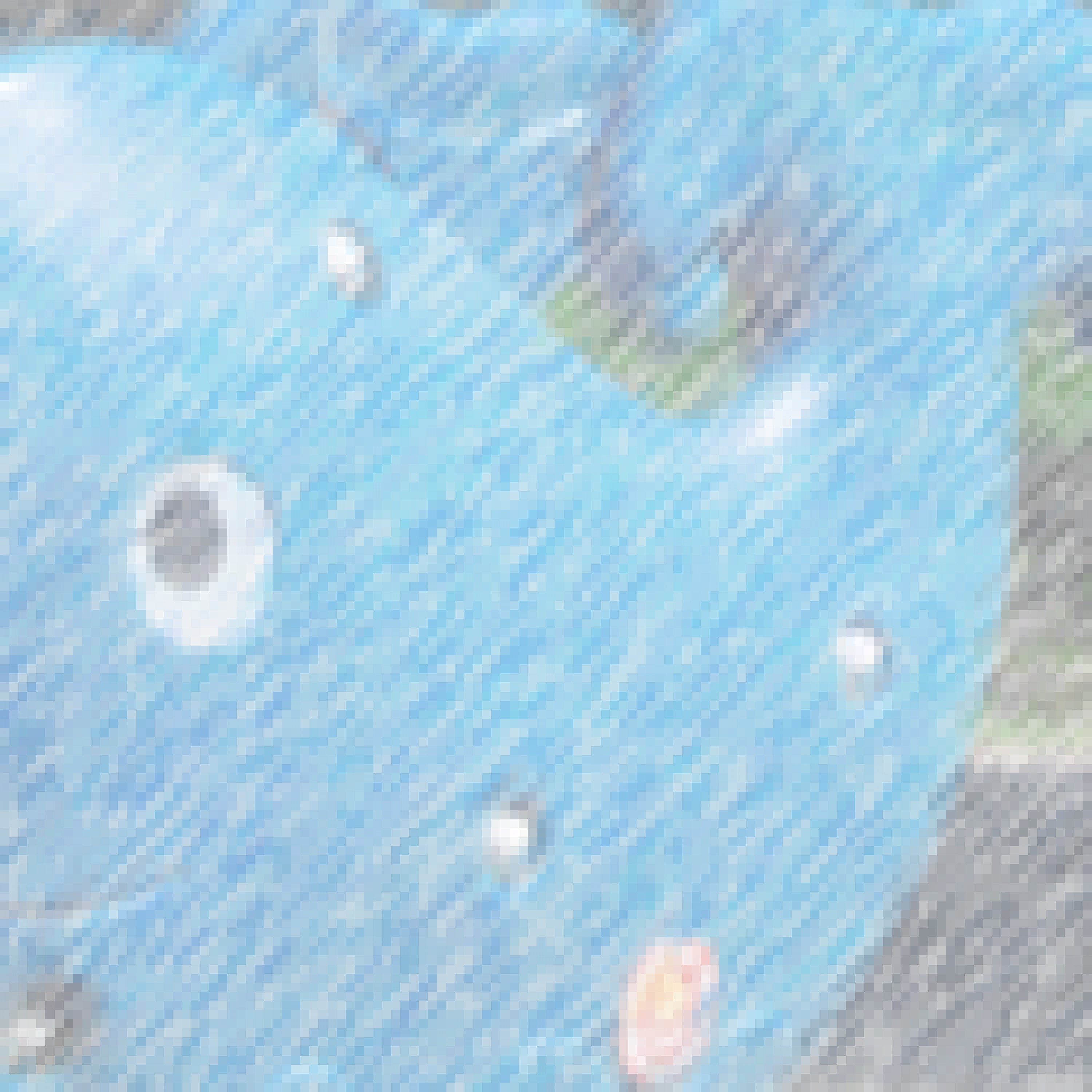 ジャケット写真