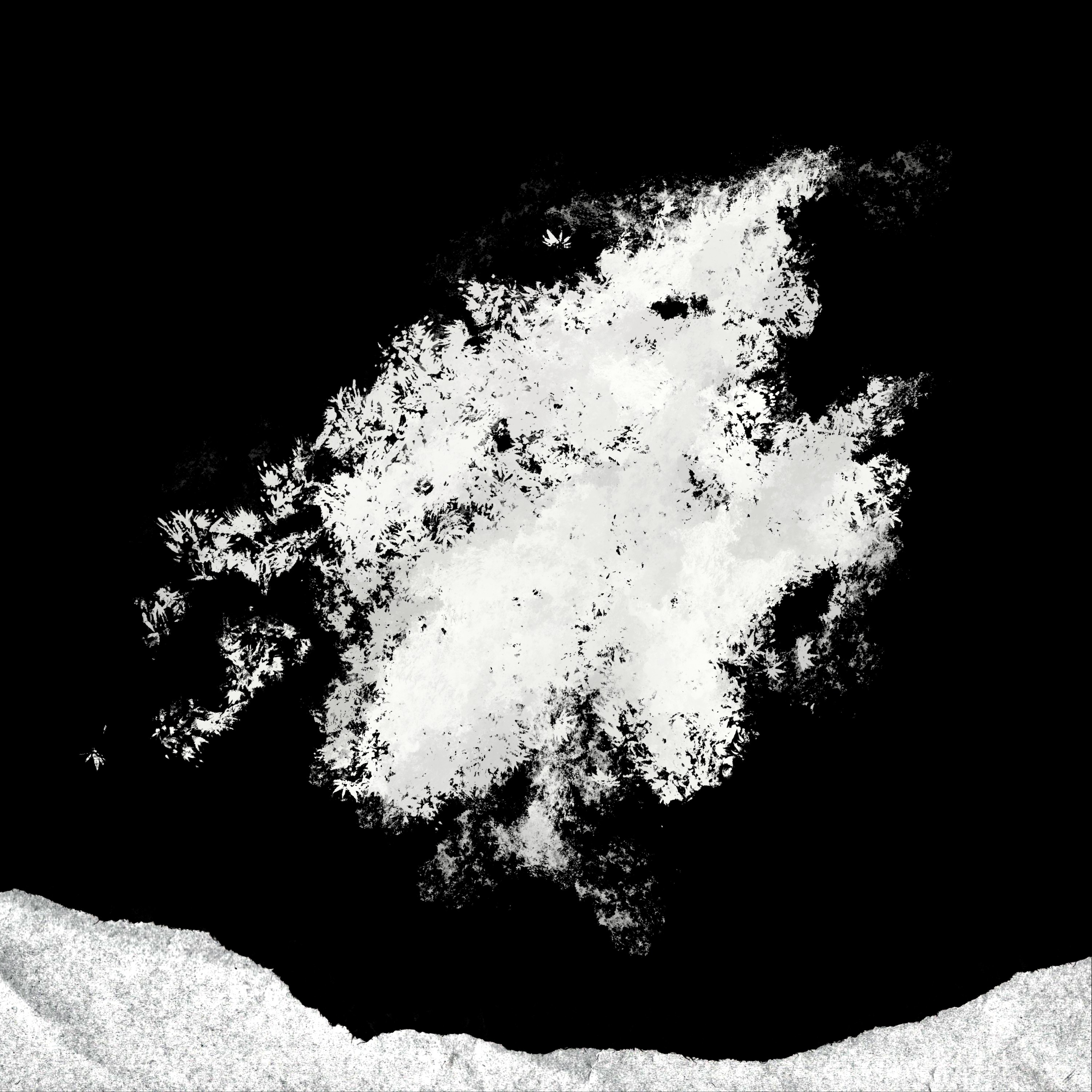 ジャケット写真