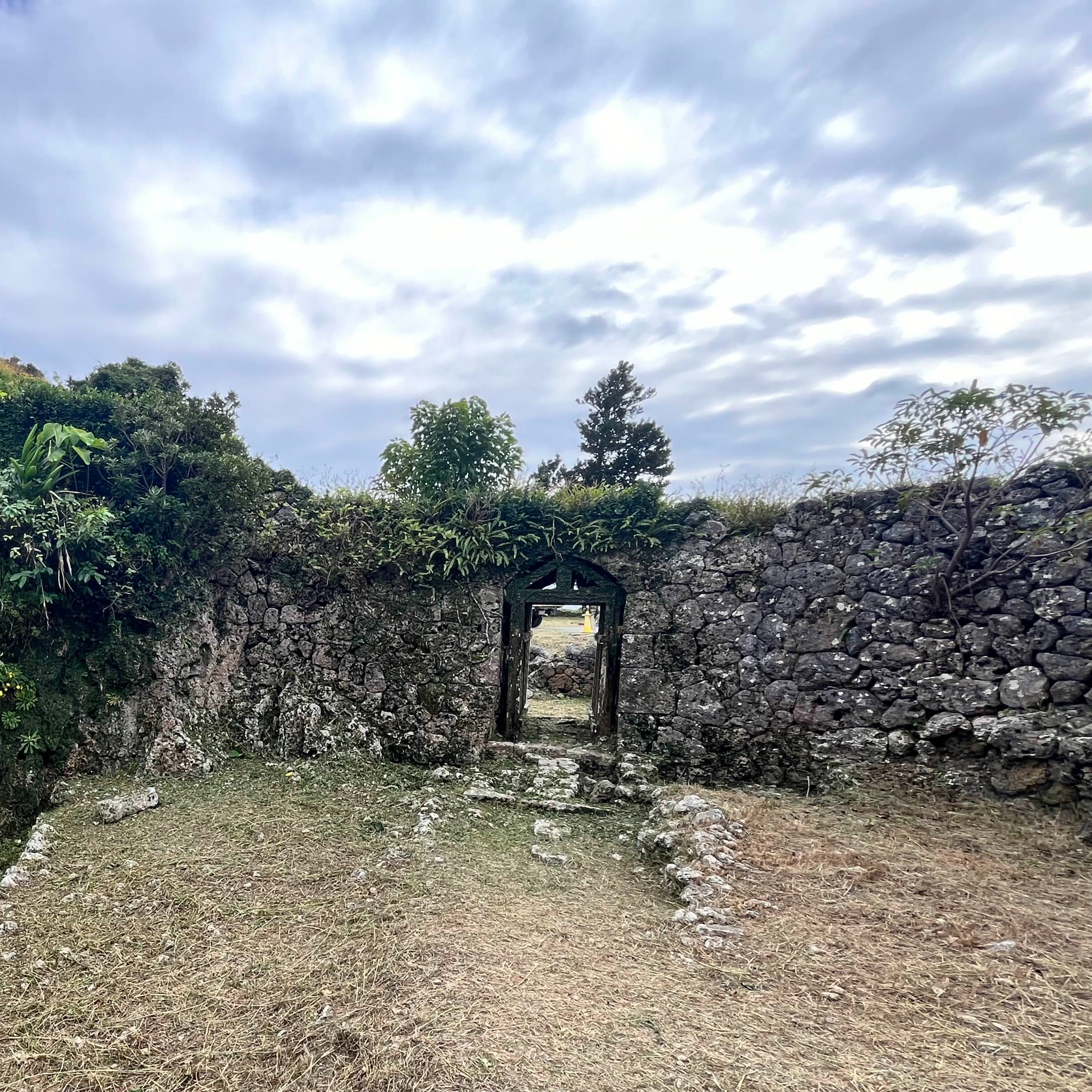 ジャケット写真