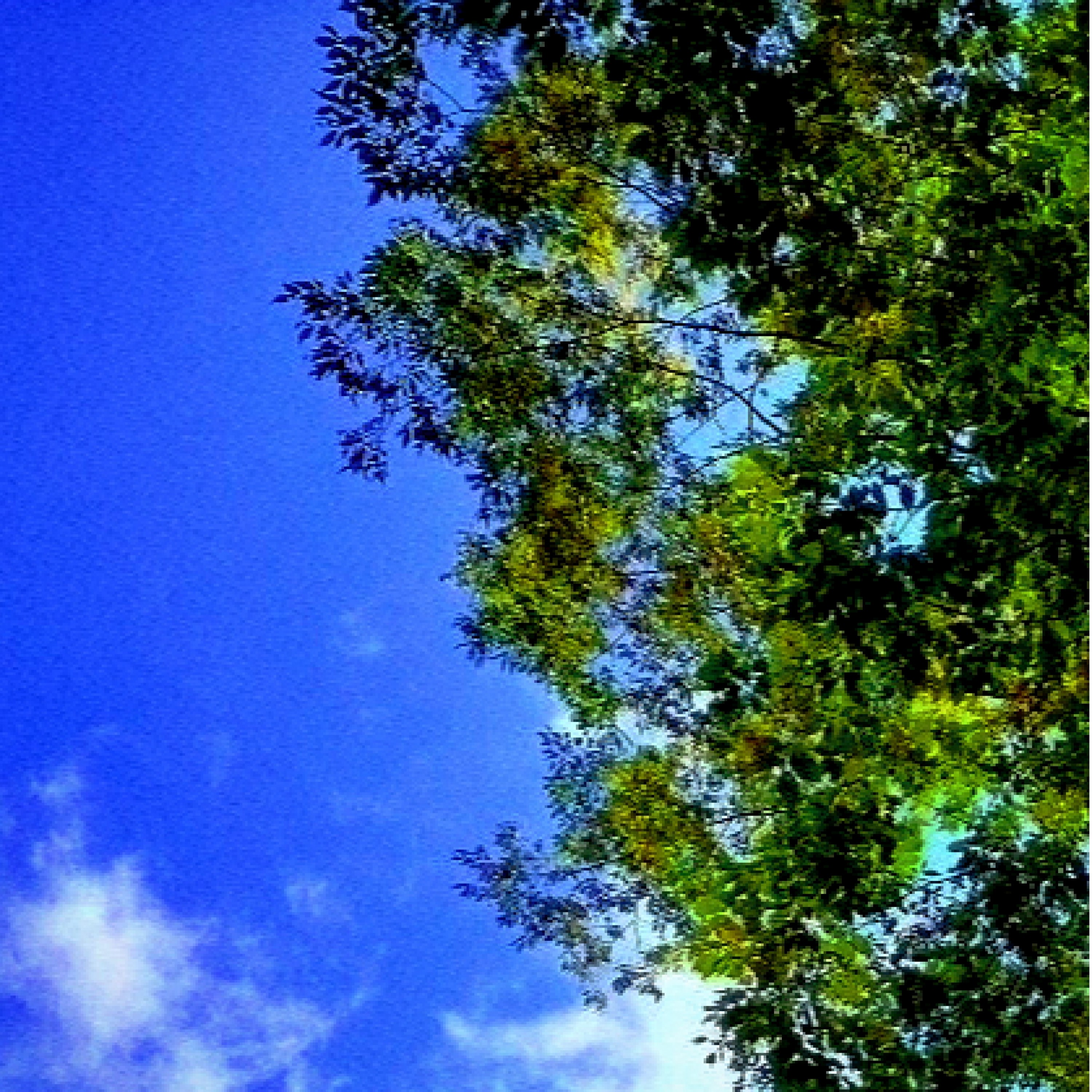 ジャケット写真