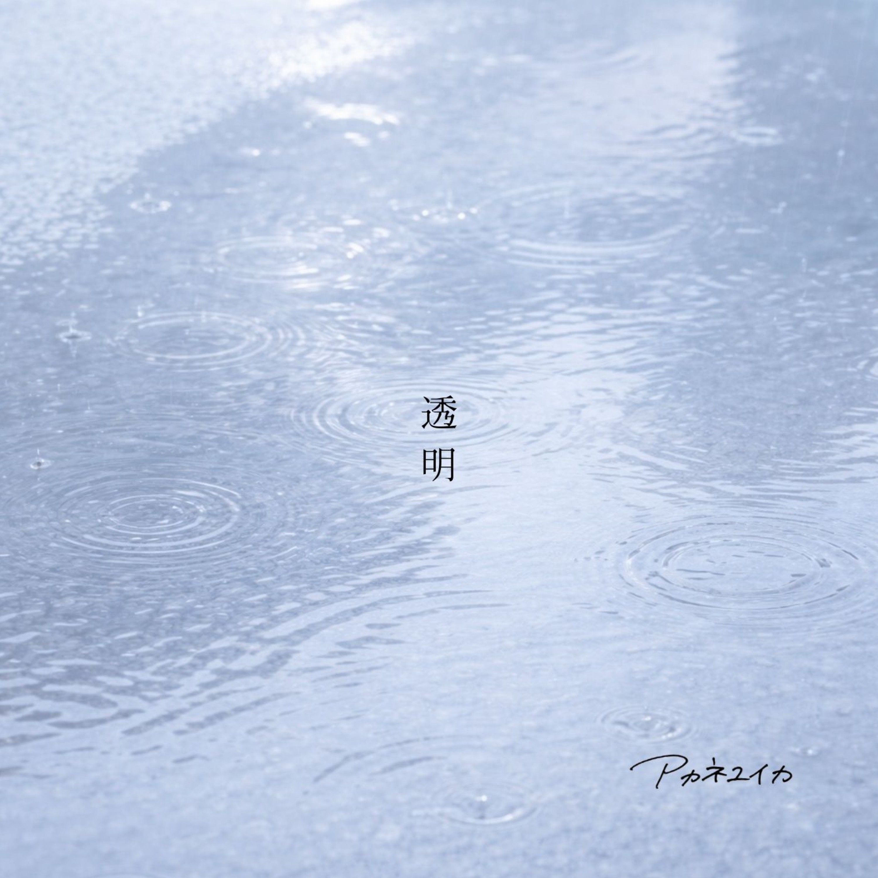 ジャケット写真