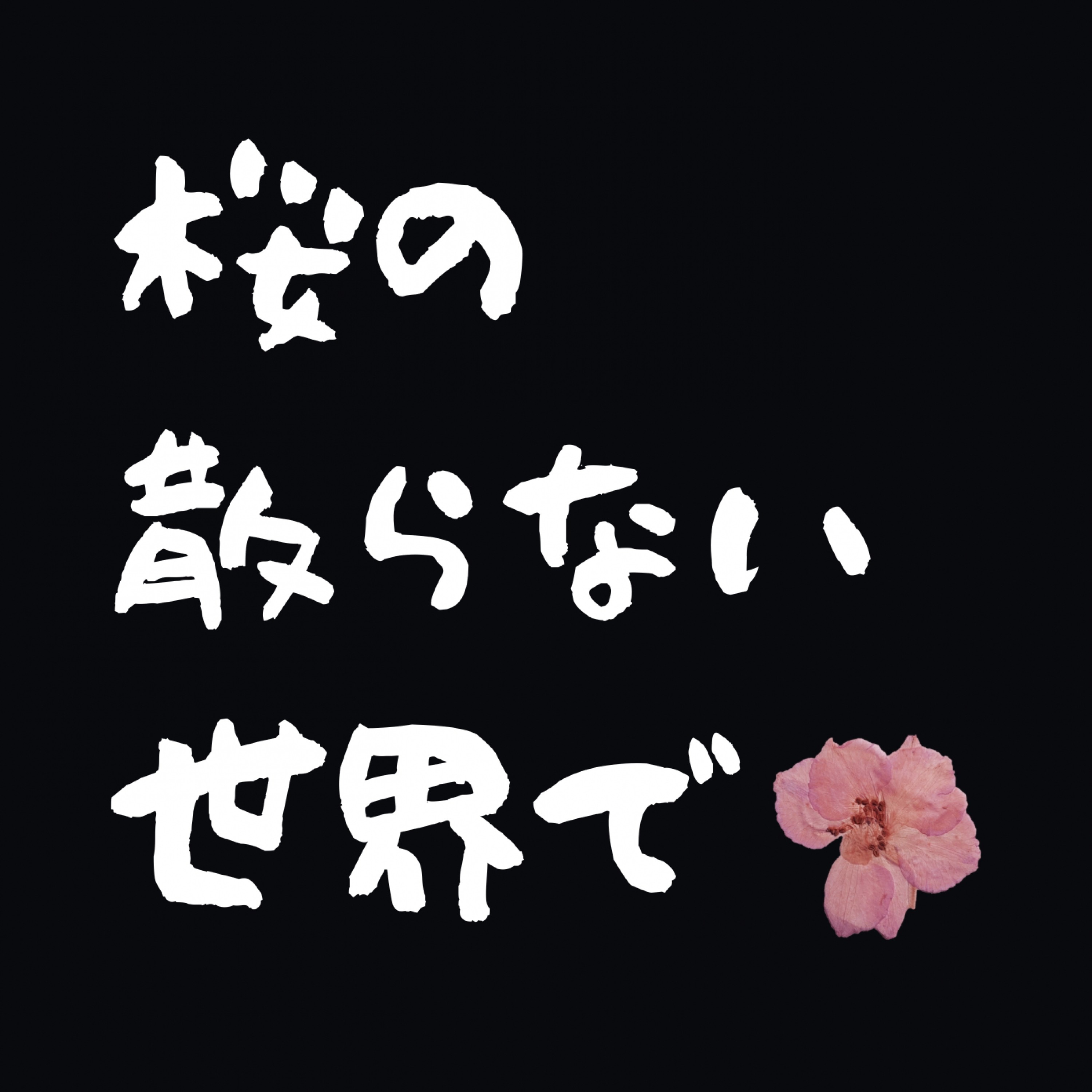 ジャケット写真