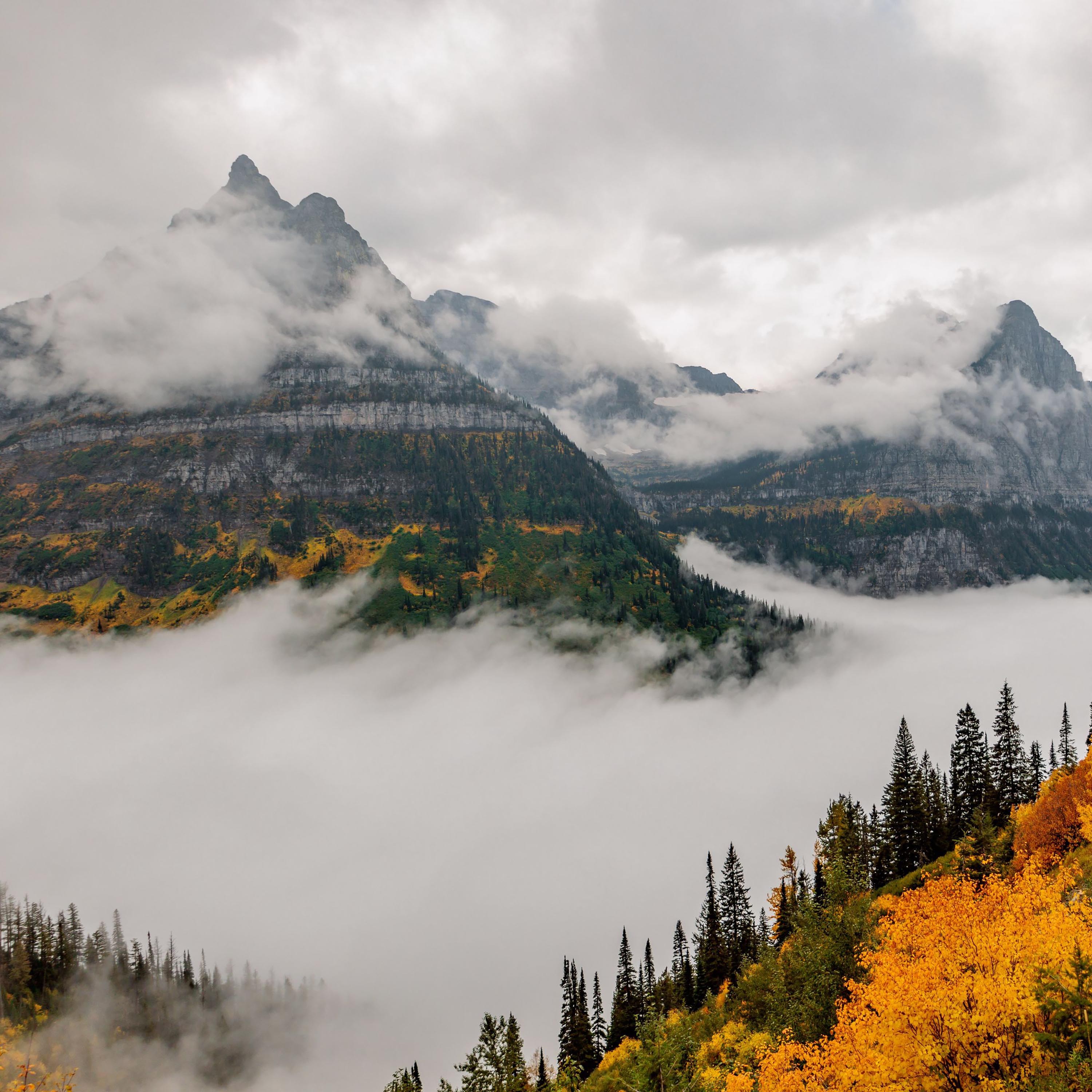 ジャケット写真