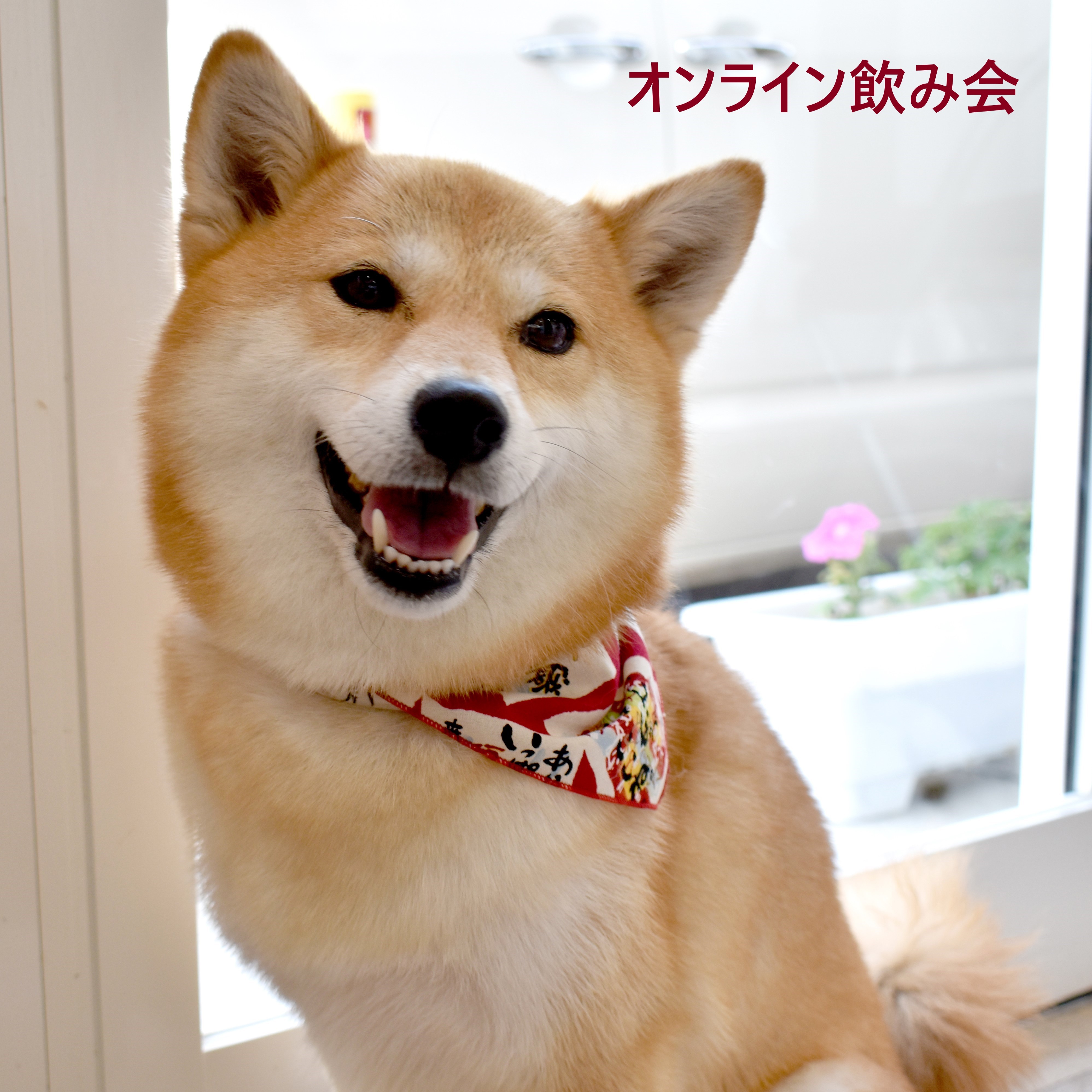 ジャケット写真