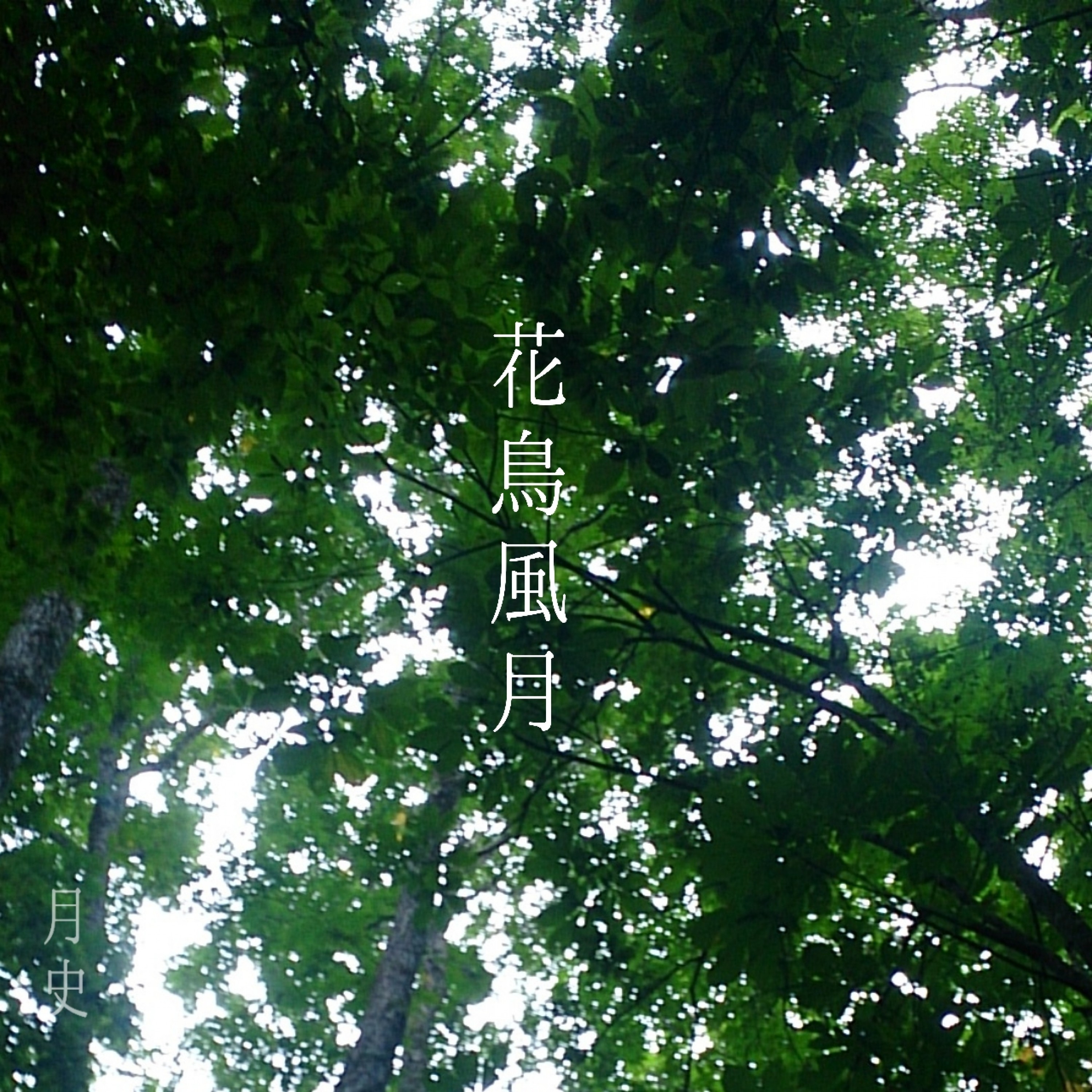 ジャケット写真